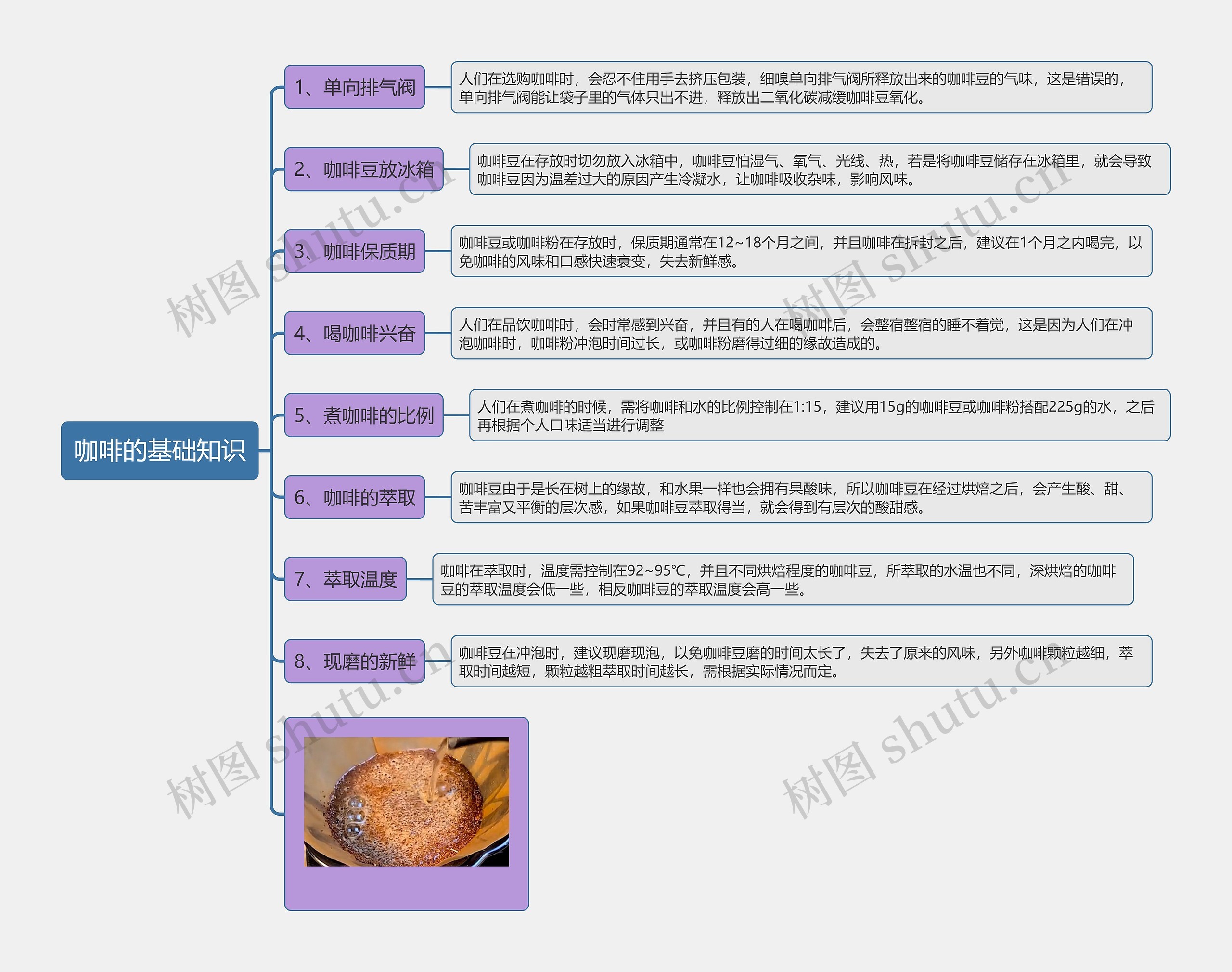 咖啡的基础知识思维导图