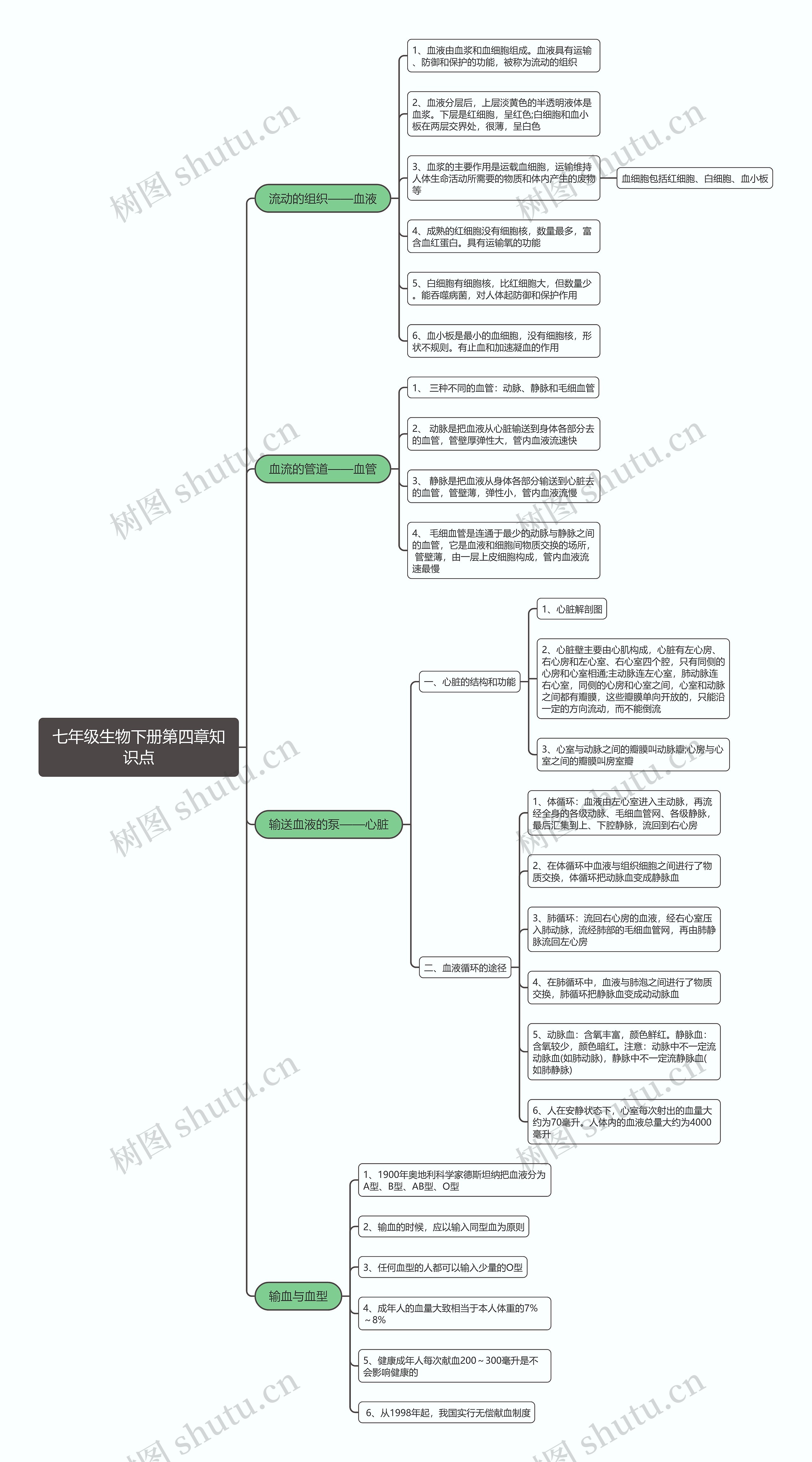 生物七年级下册第四章思维导图