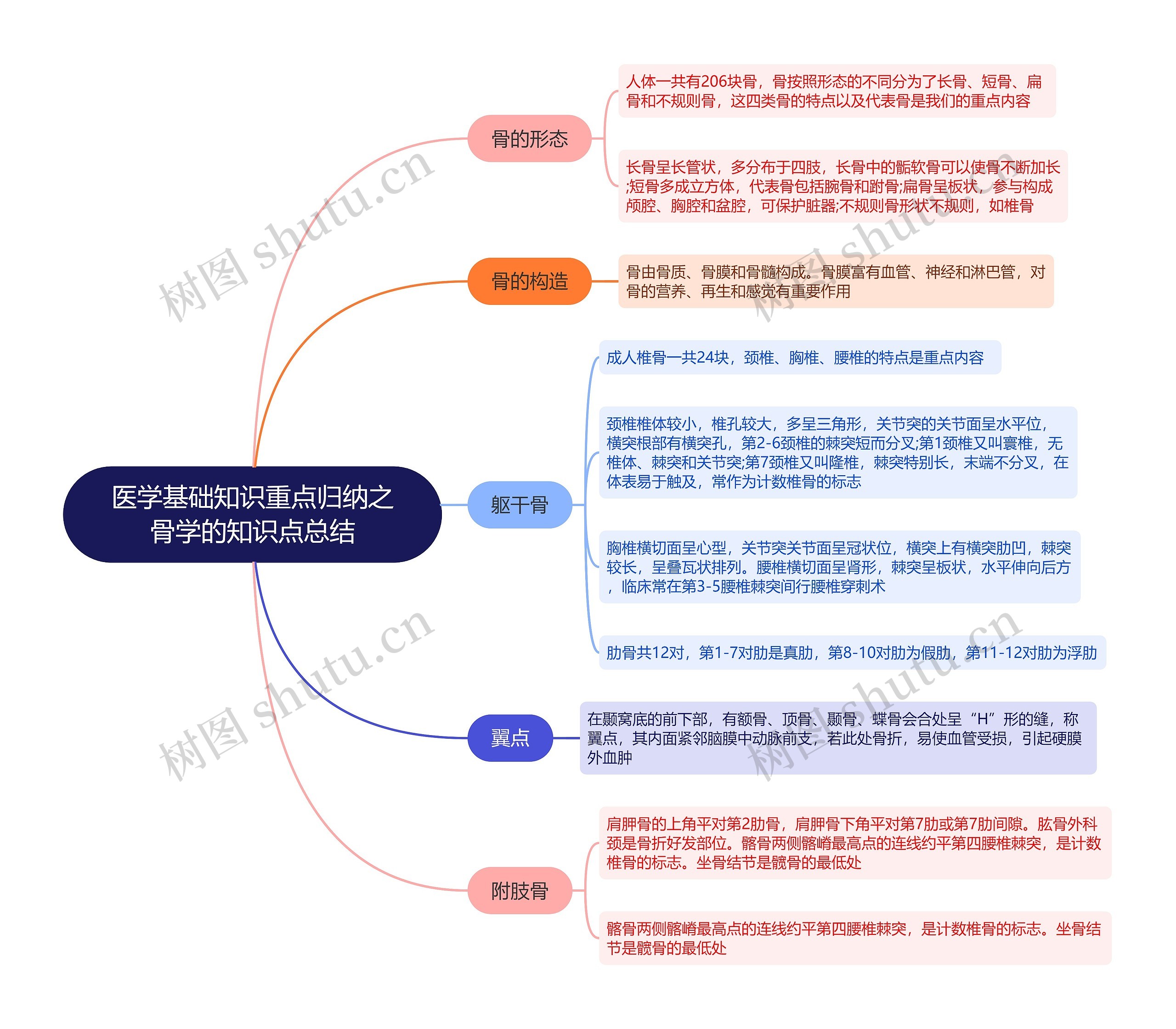 医学基础知识重点归纳之骨学的知识点总结思维导图