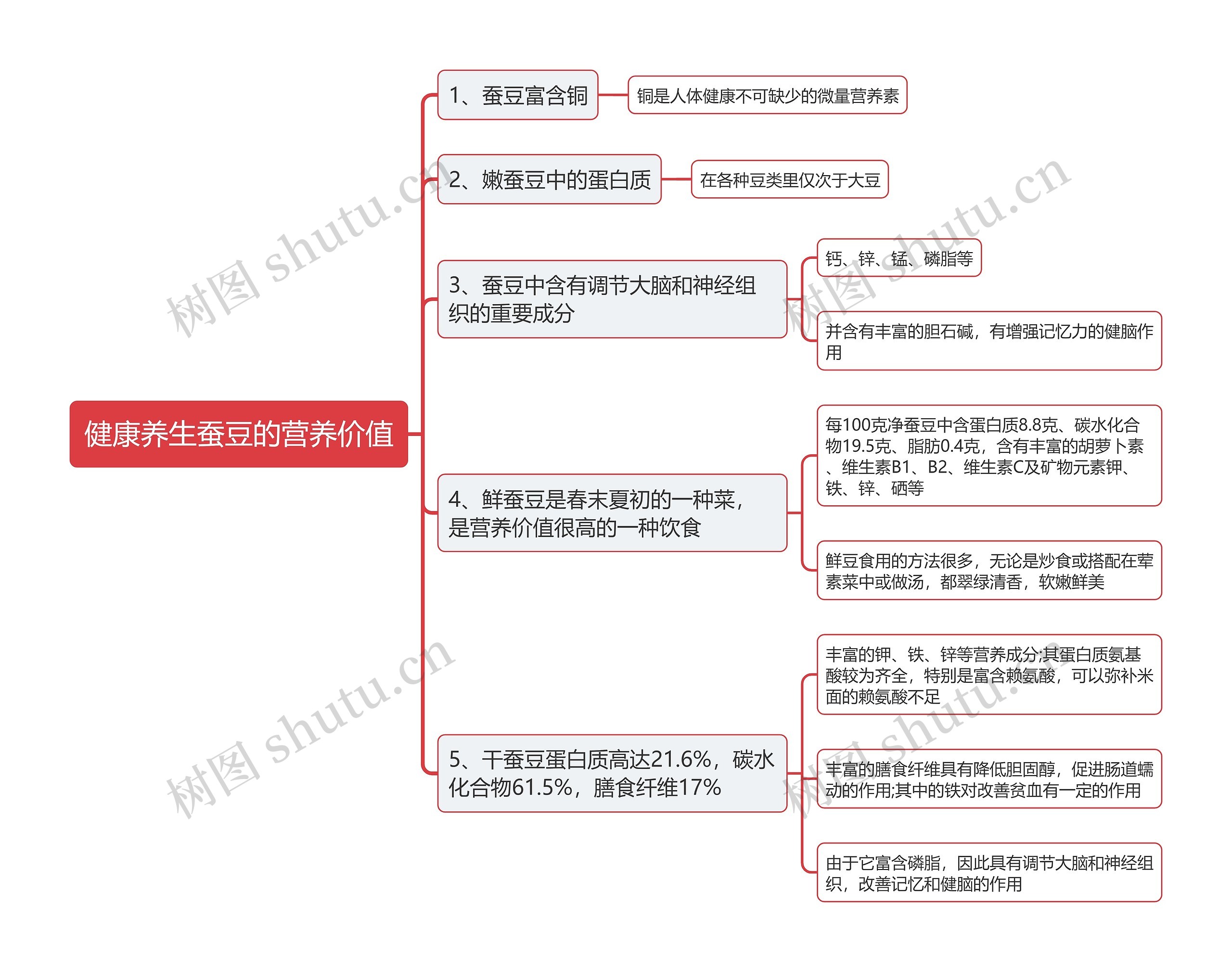 健康养生蚕豆的营养价值思维导图