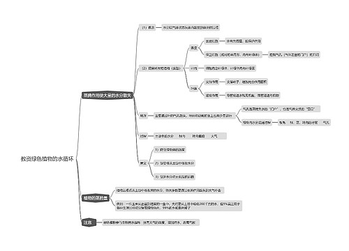 教资绿色植物的水循环思维导图