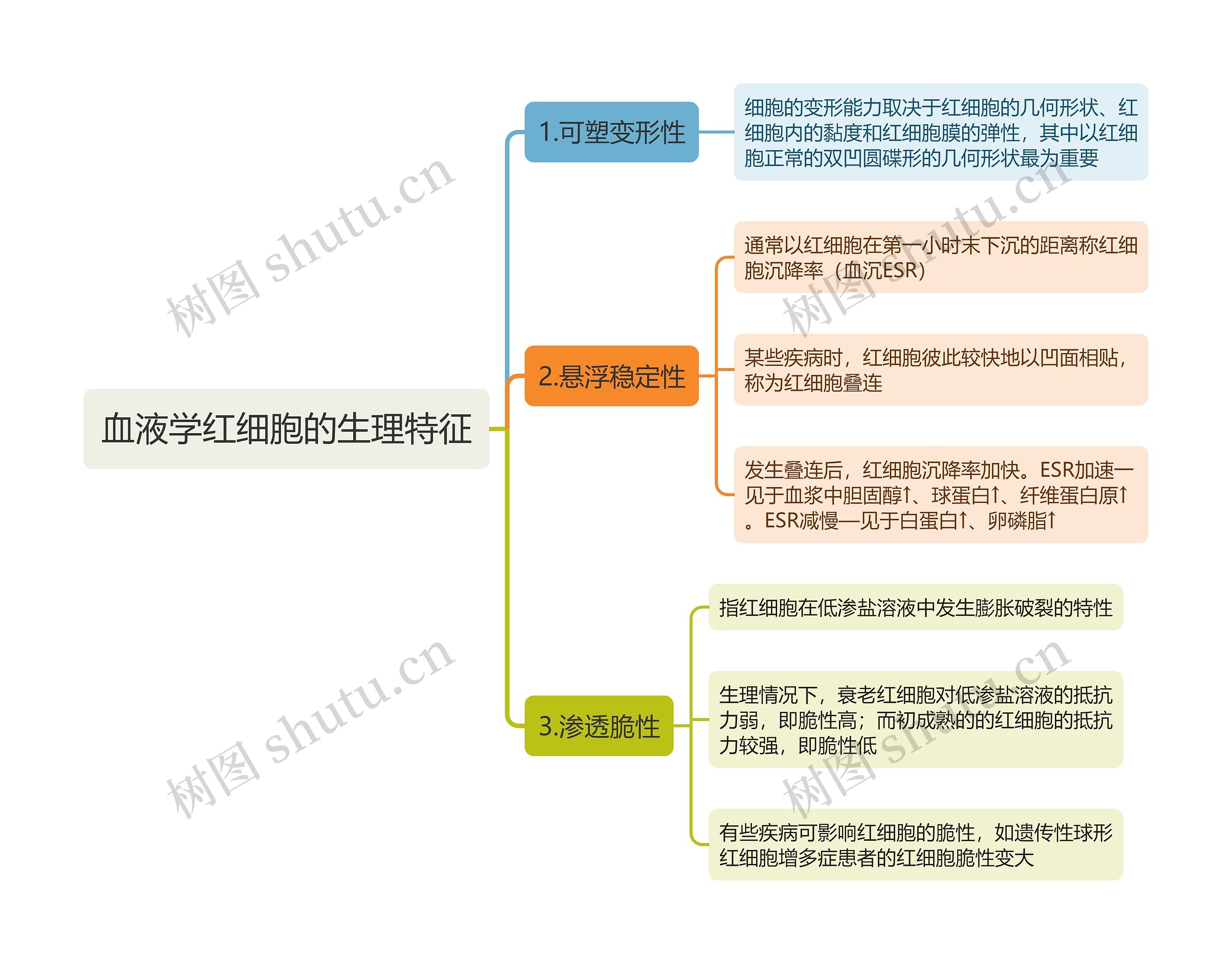 血液学红细胞的生理特征思维导图 血液学红细胞的生理特征思维导图