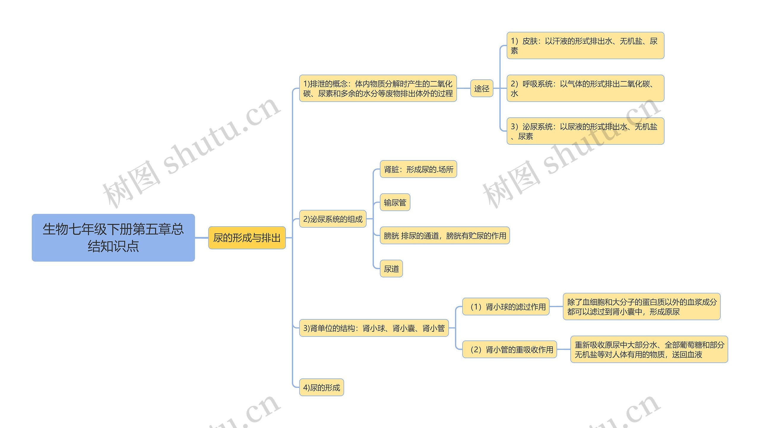 生物七年级下册第五章思维导图