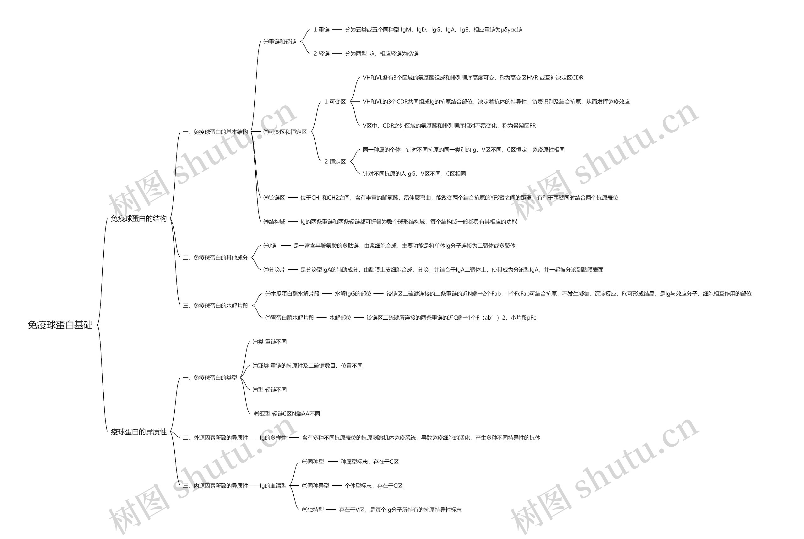 免疫球蛋白基础思维导图