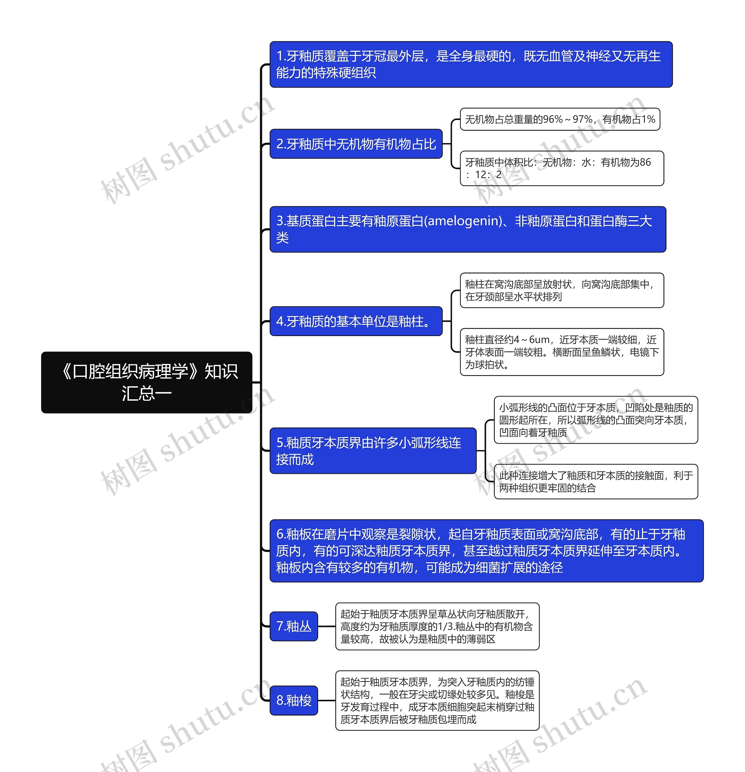 《口腔组织病理学》知识汇总一