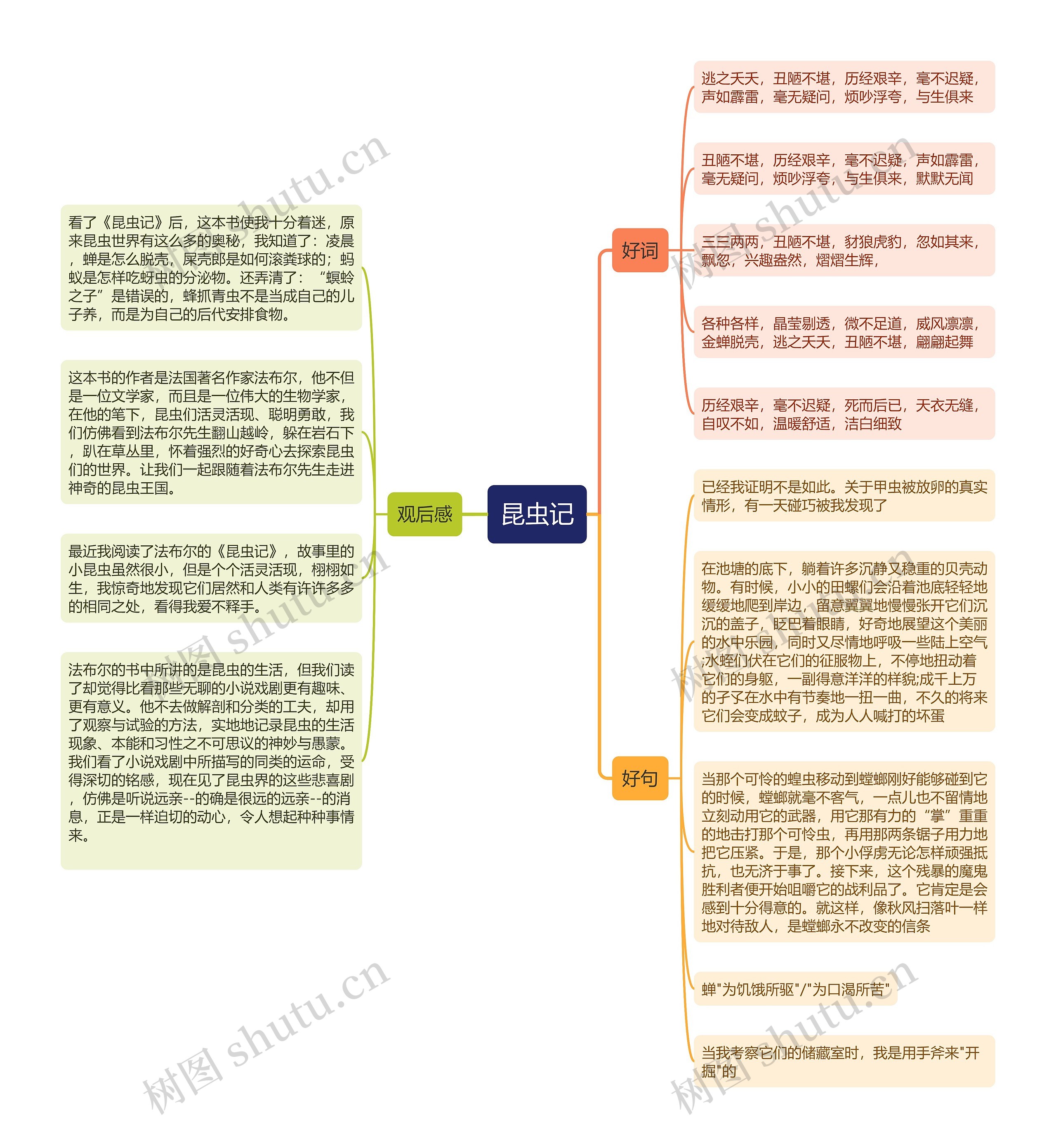 昆虫记好词好句思维导图