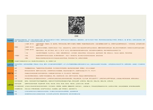 白蚁思维导图
