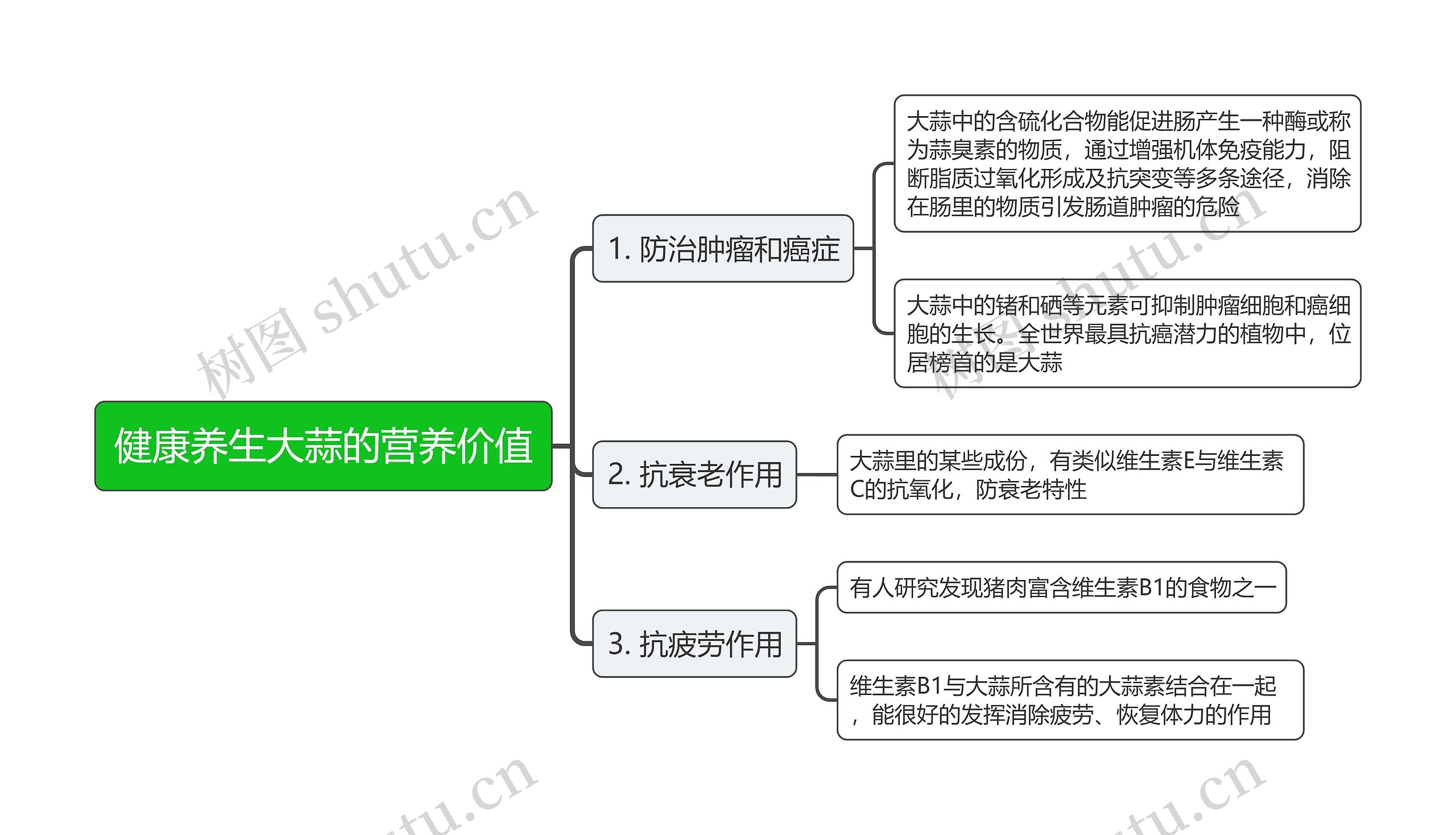 健康养生大蒜的营养价值思维导图