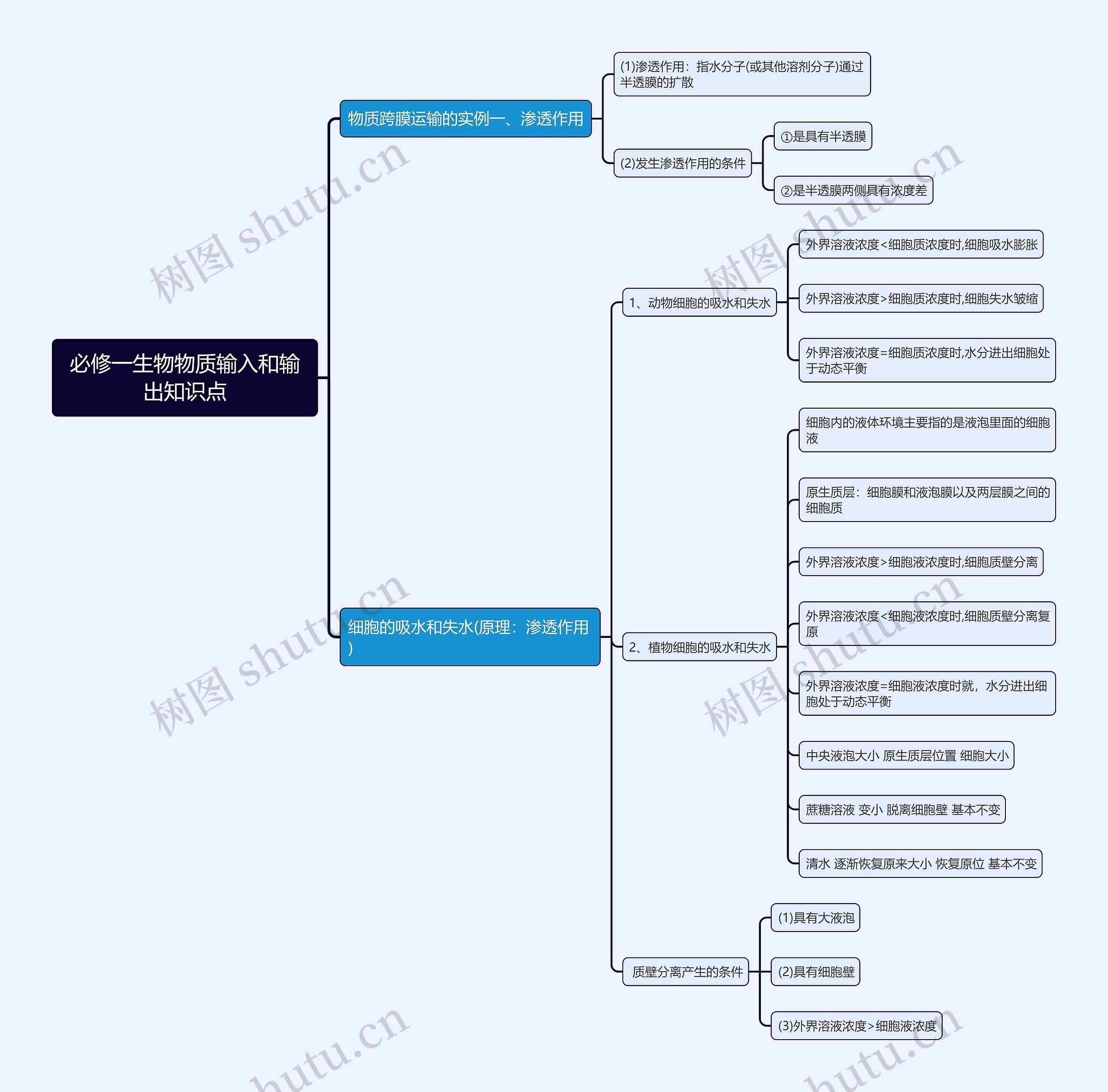 必修一生物物质输入和输出知识点思维导图