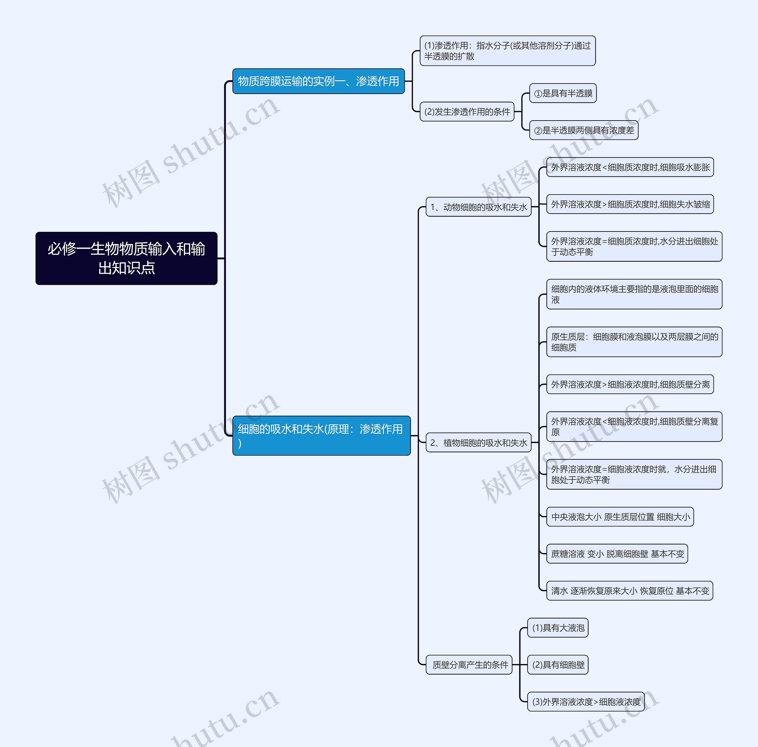 必修一生物物质输入和输出知识点思维导图 必修一生物物质输入和输出知识点思维导图