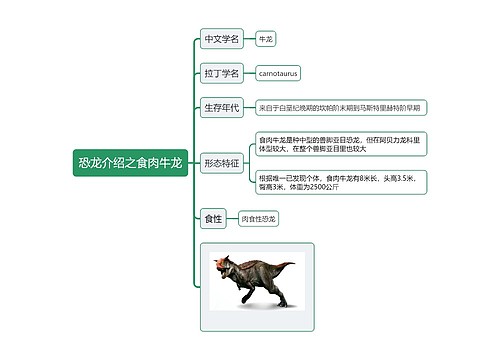 恐龙介绍之食肉牛龙思维导图