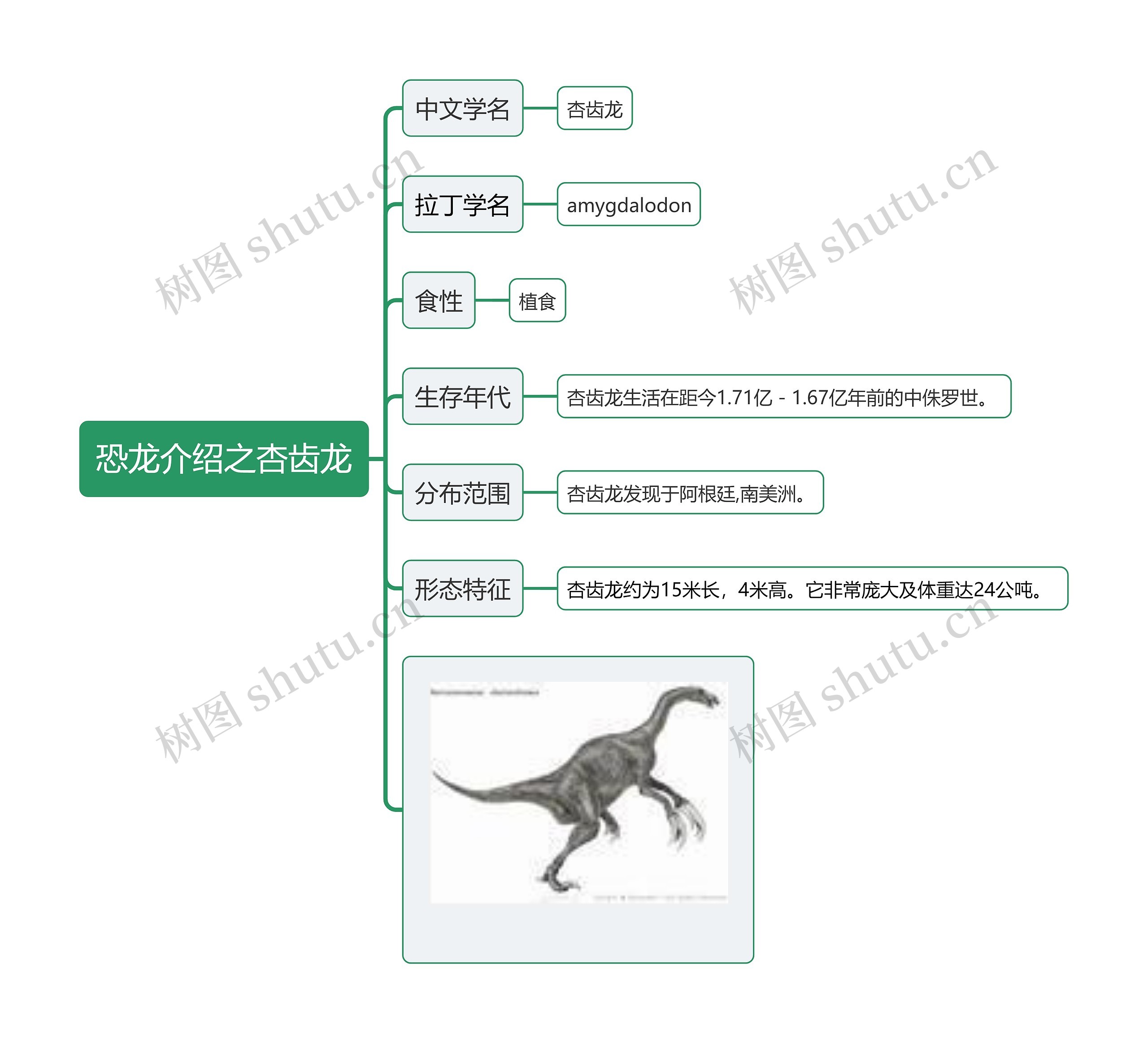 恐龙介绍之杏齿龙思维导图