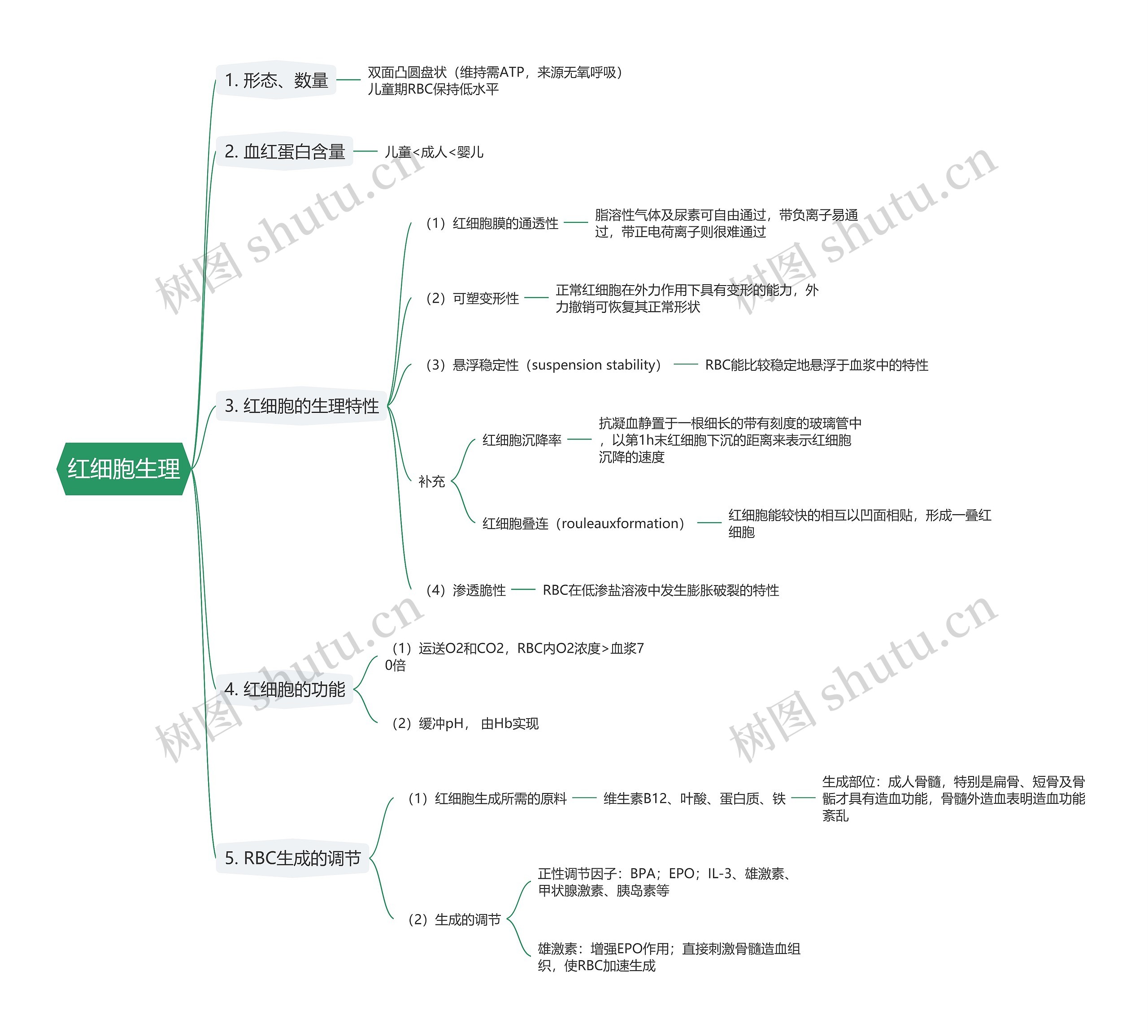 红细胞生理思维导图