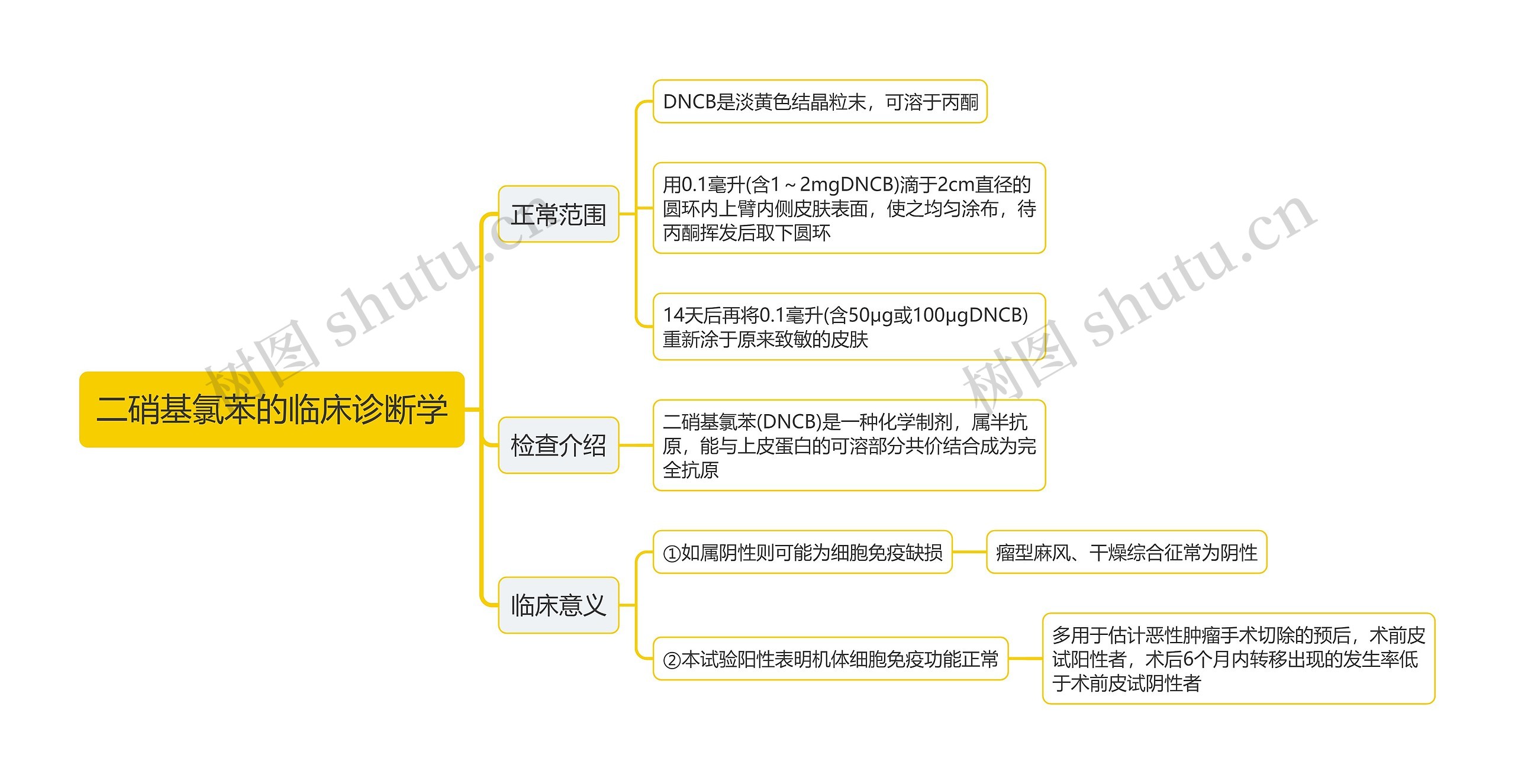 二硝基氯苯的临床诊断学思维导图