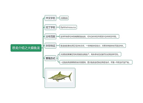 恐龙介绍之大眼鱼龙思维导图