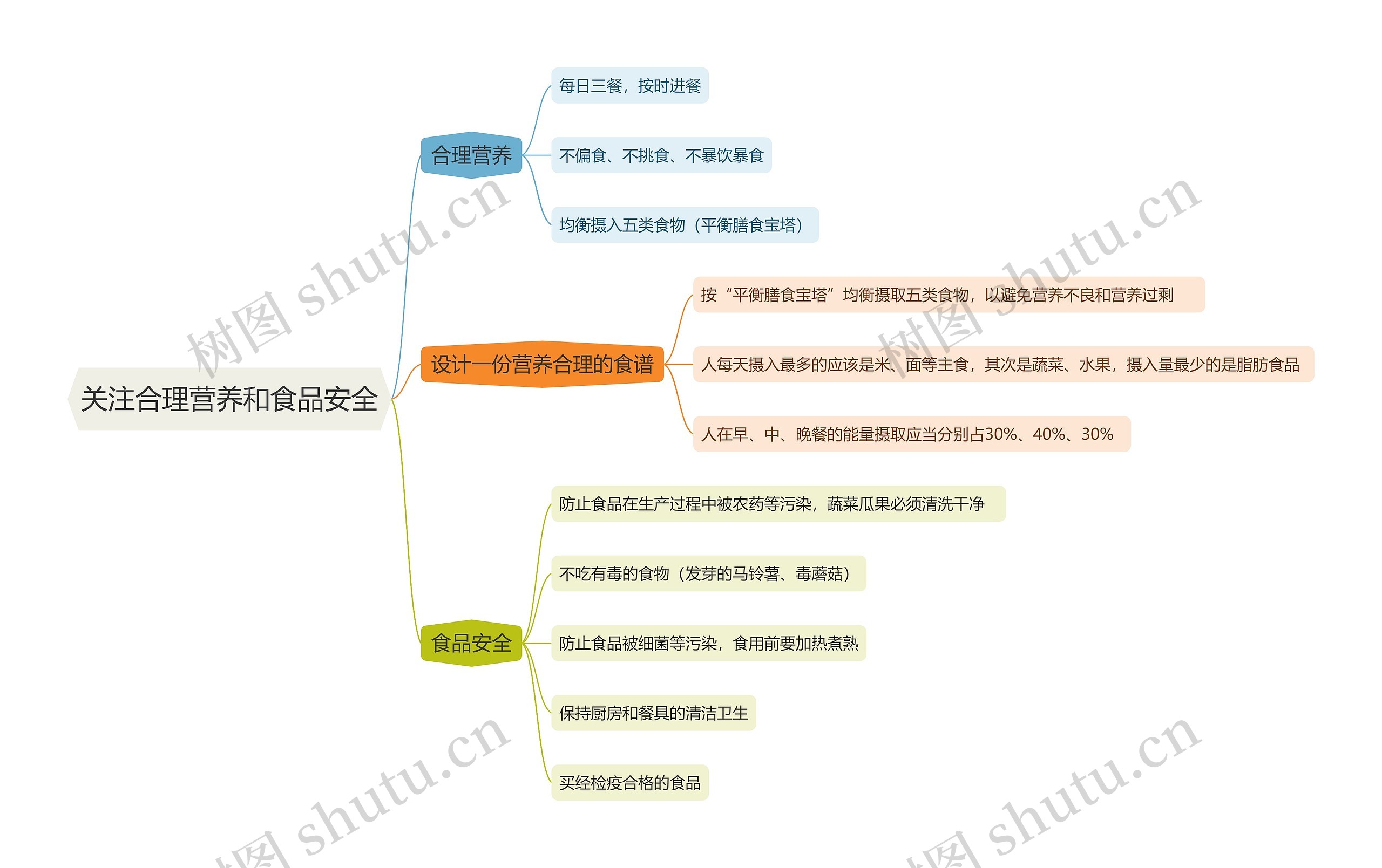 关注合理营养和食品安全思维导图高清图 关注合理营养和食品安全思维导图