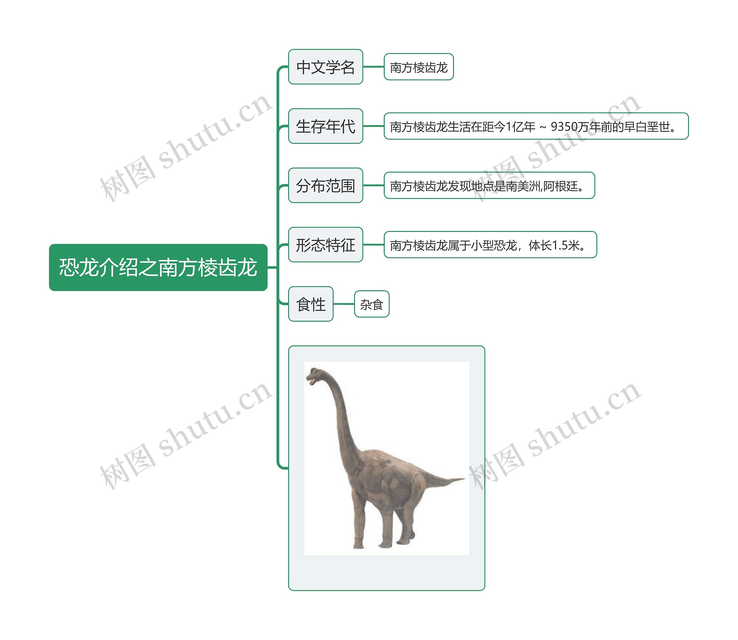 恐龙介绍之南方棱齿龙思维导图