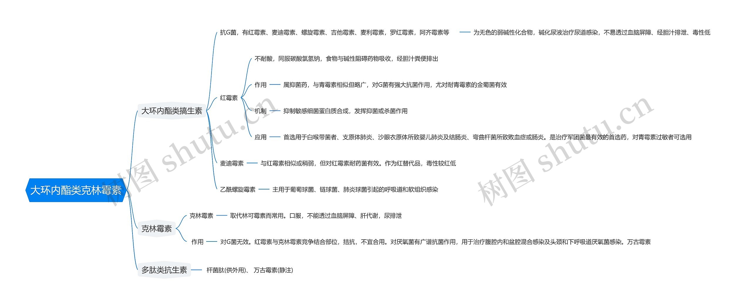 大环内酯类克林霉素思维导图