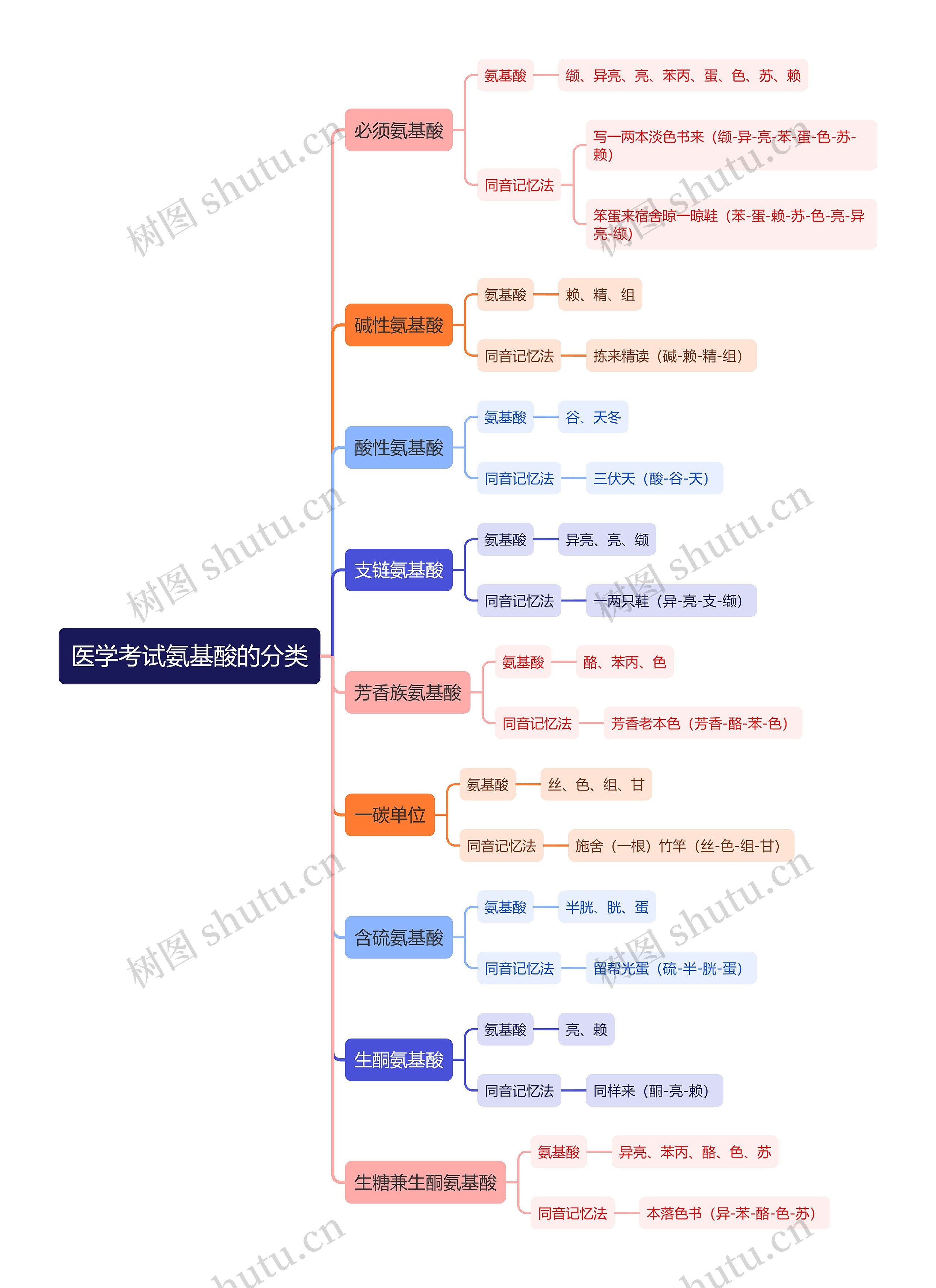 医学考试氨基酸的分类思维导图