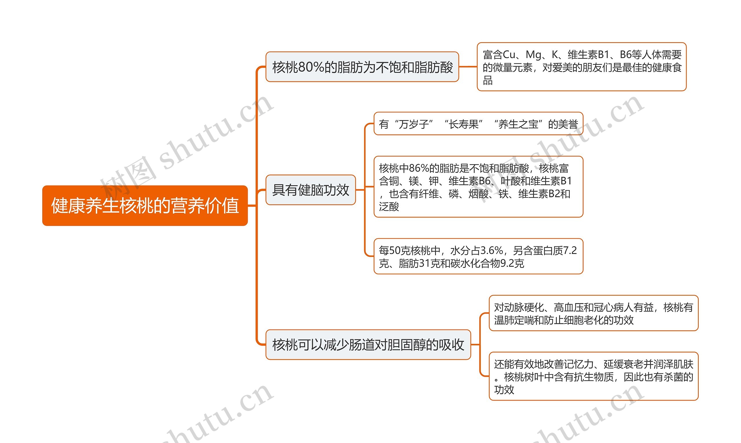 健康养生核桃的营养价值思维导图