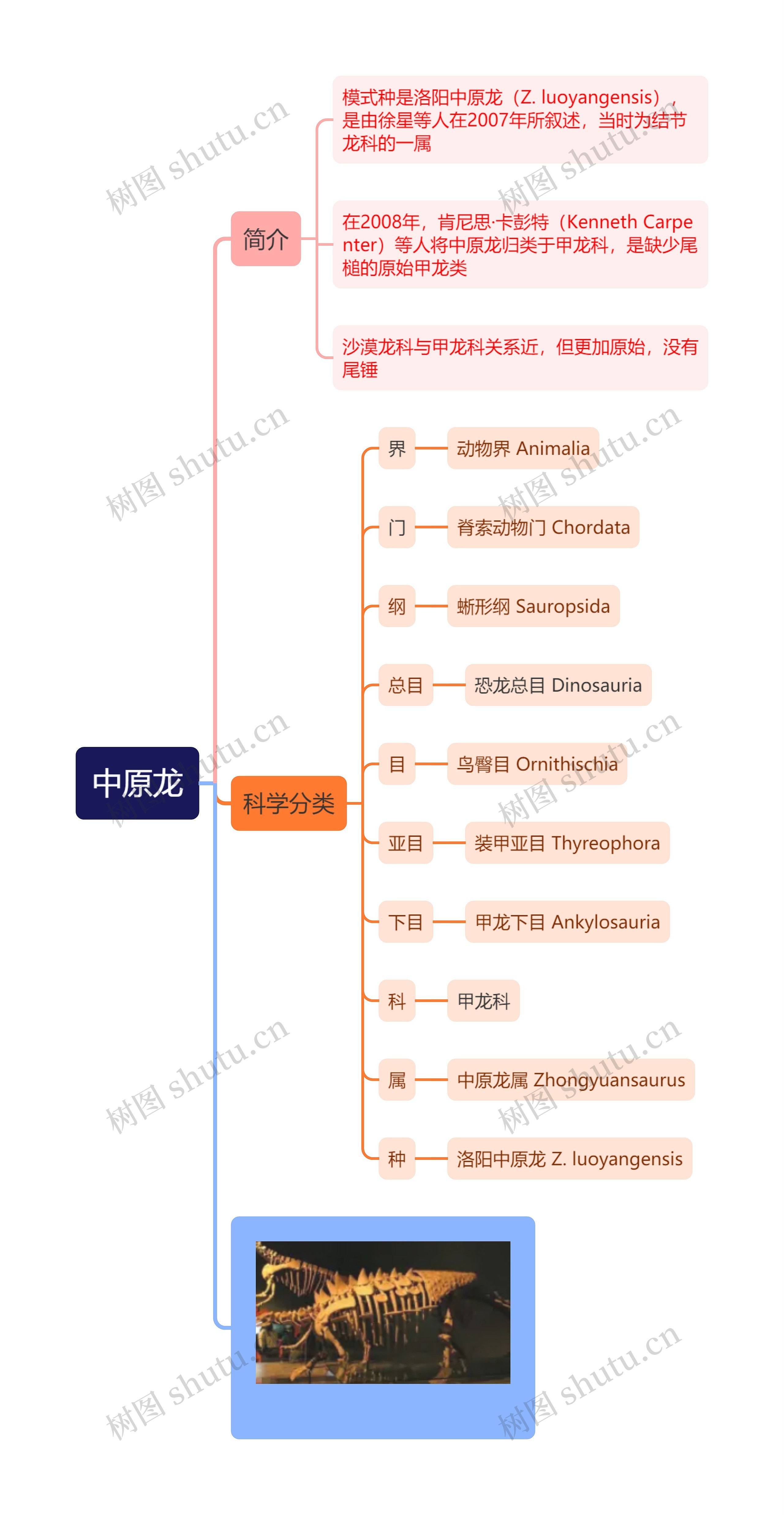 中原龙思维导图