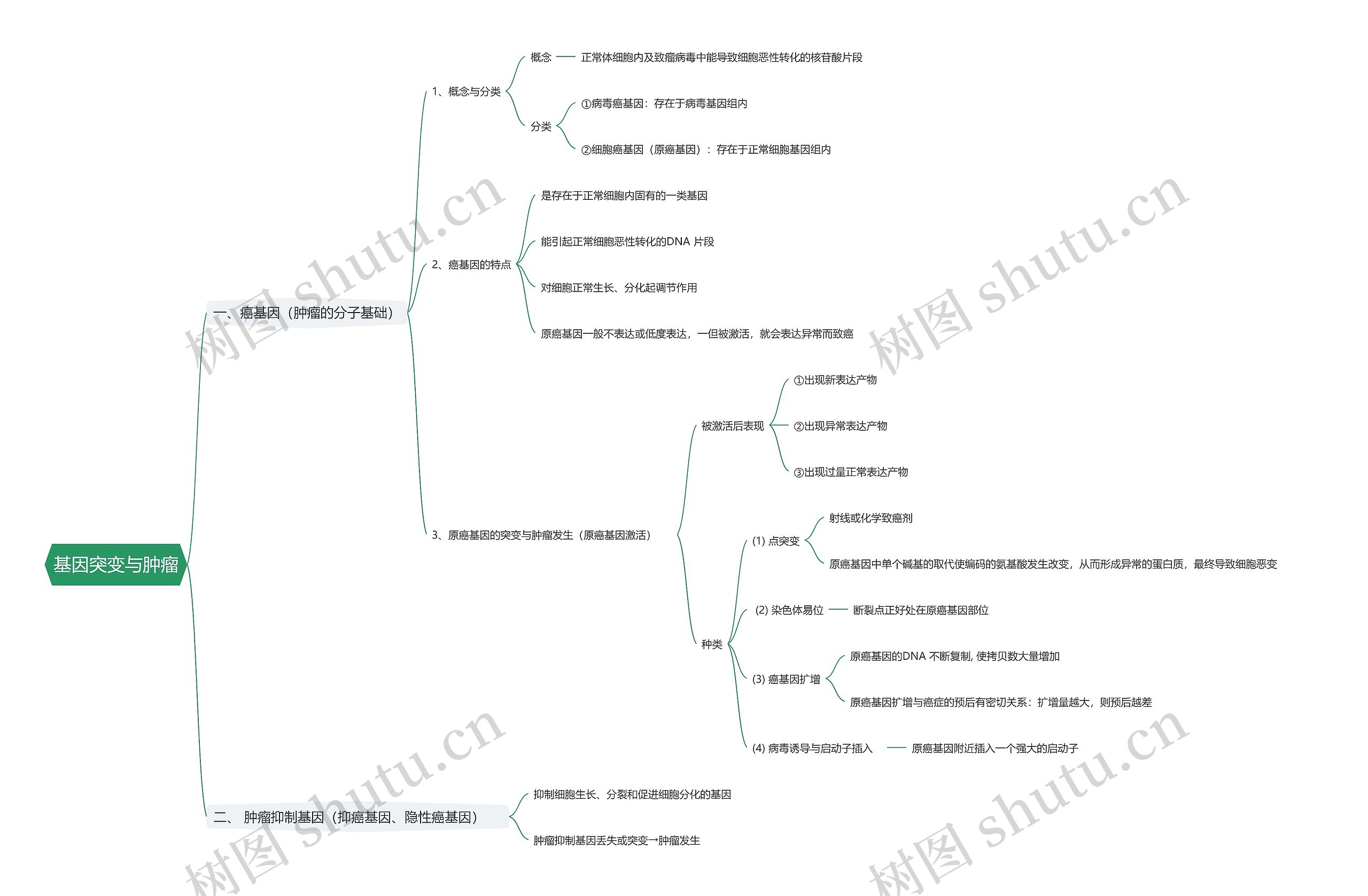基因突变与肿瘤思维导图