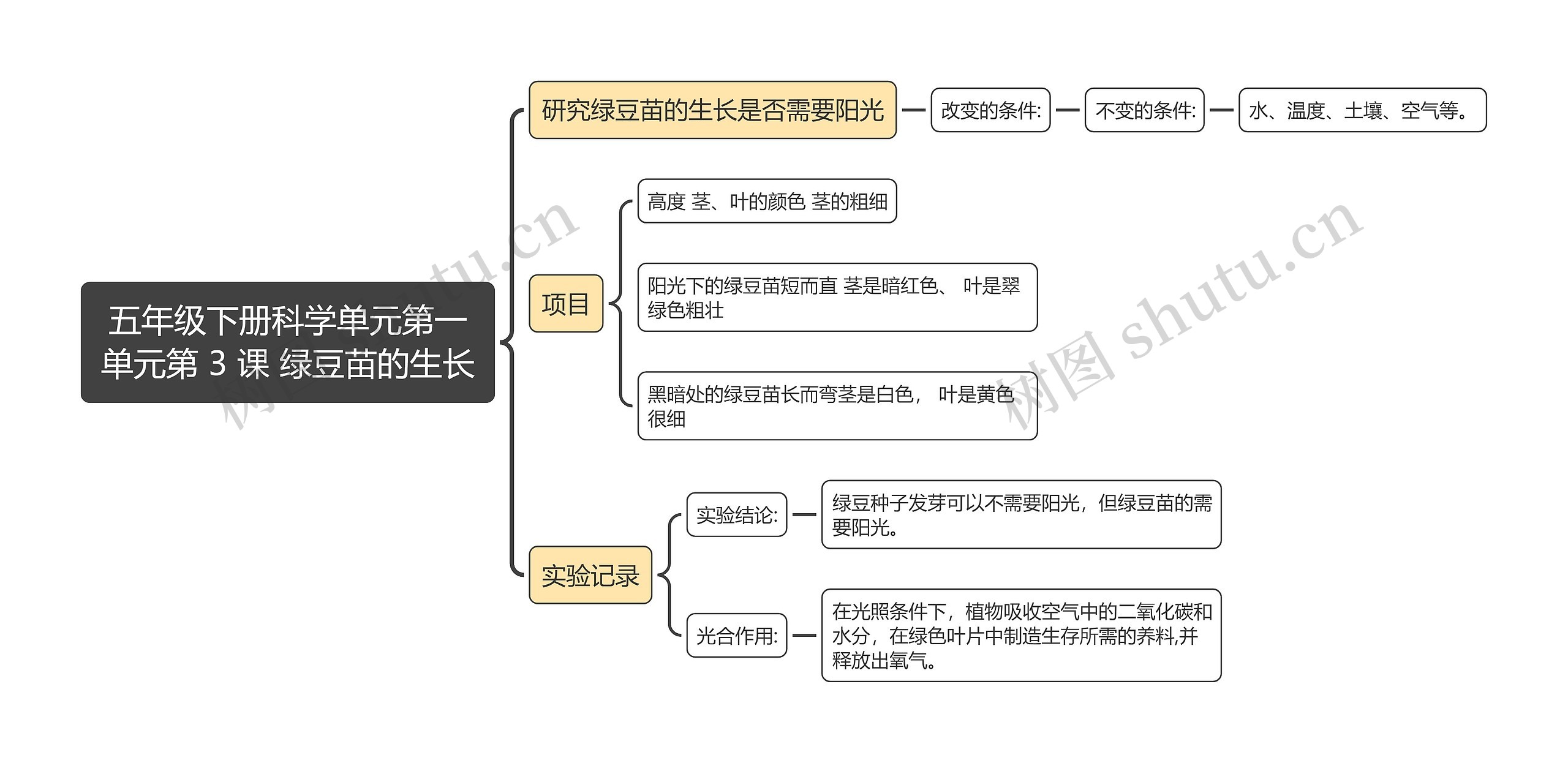 五年级下册科学单元第一单元第 3 课 绿豆苗的生长