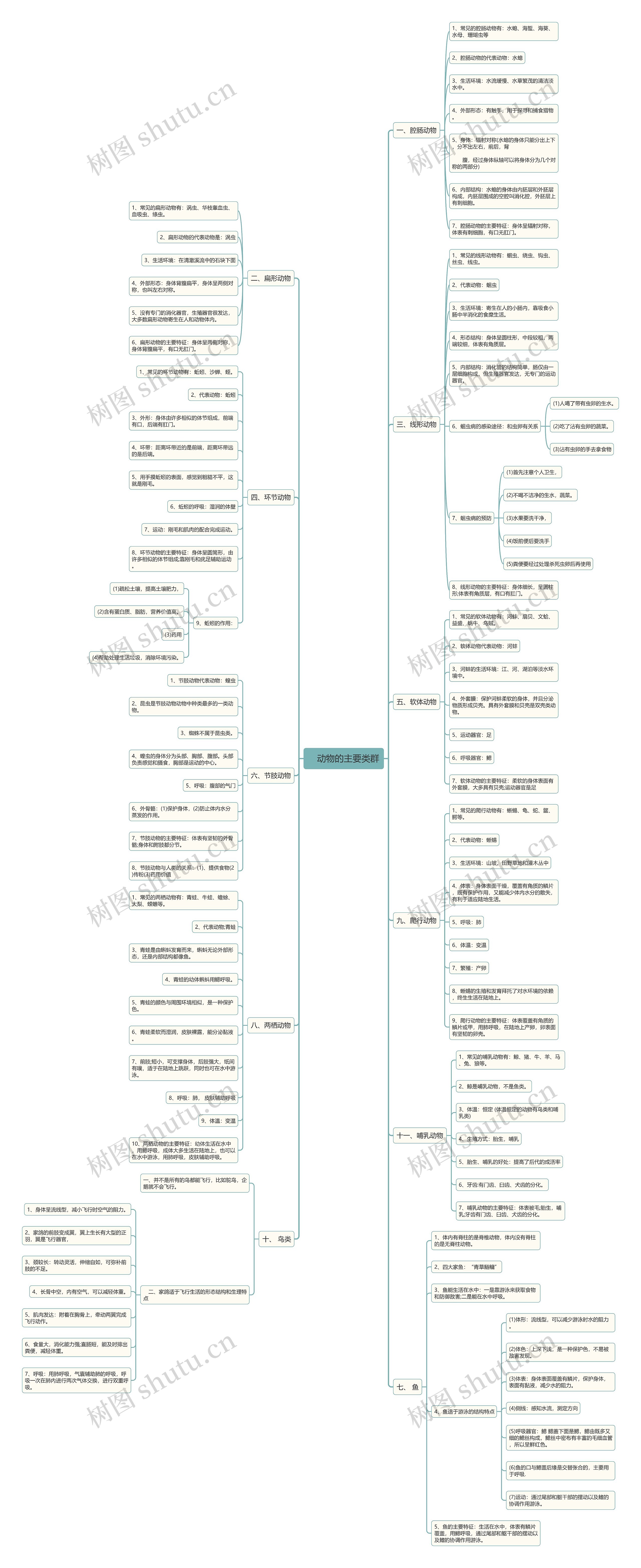 动物主要类群思维导图