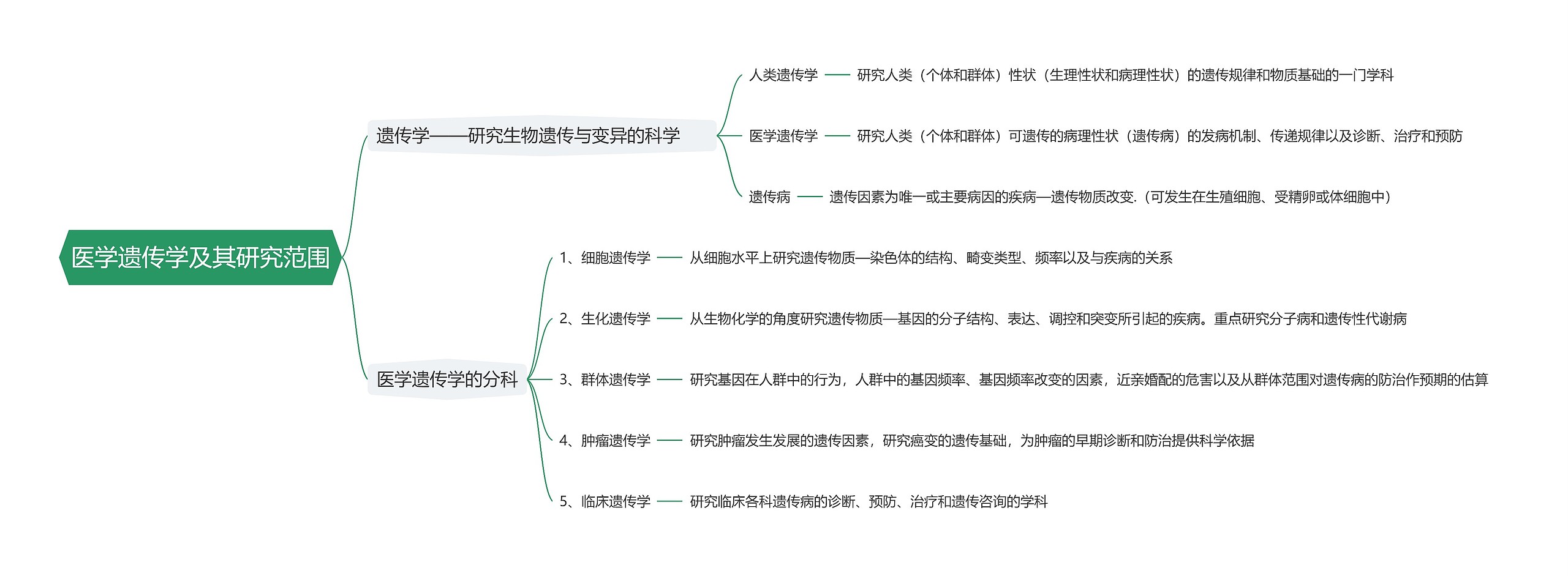 医学遗传学及其研究范围思维导图