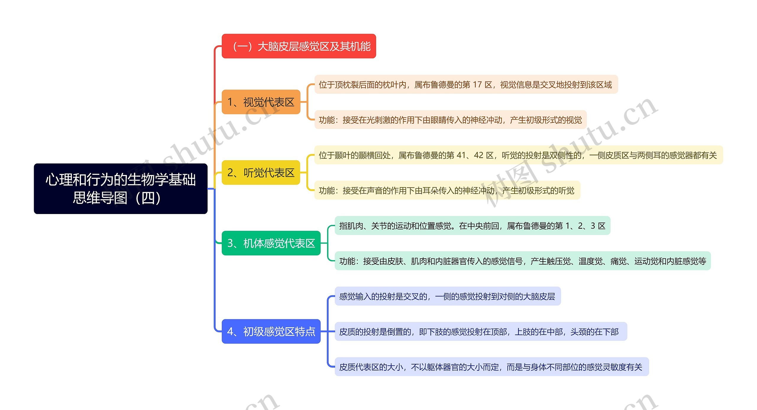 心理和行为的生物学基础思维导图（四）