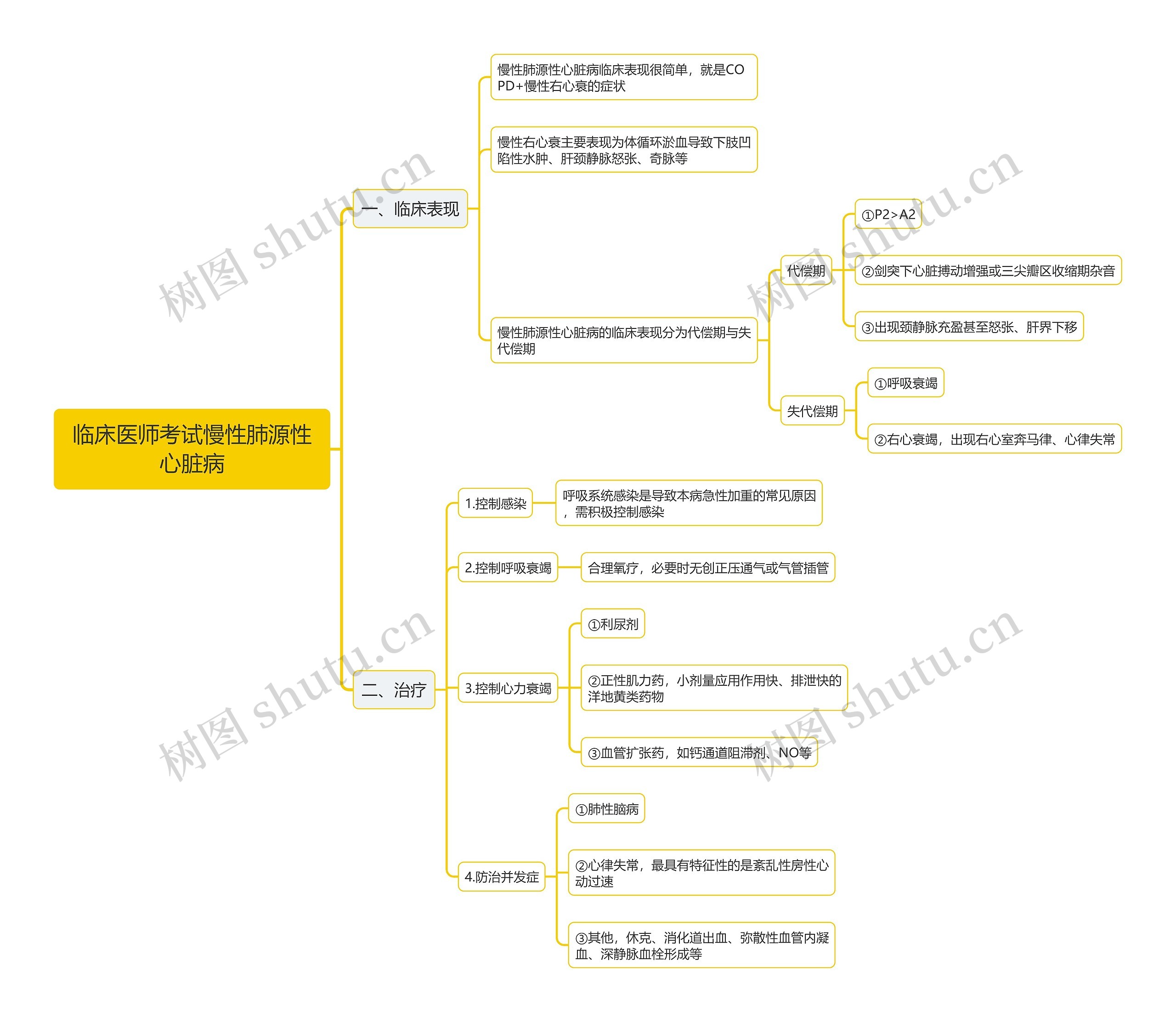 临床医师考试慢性肺源性心脏病思维导图