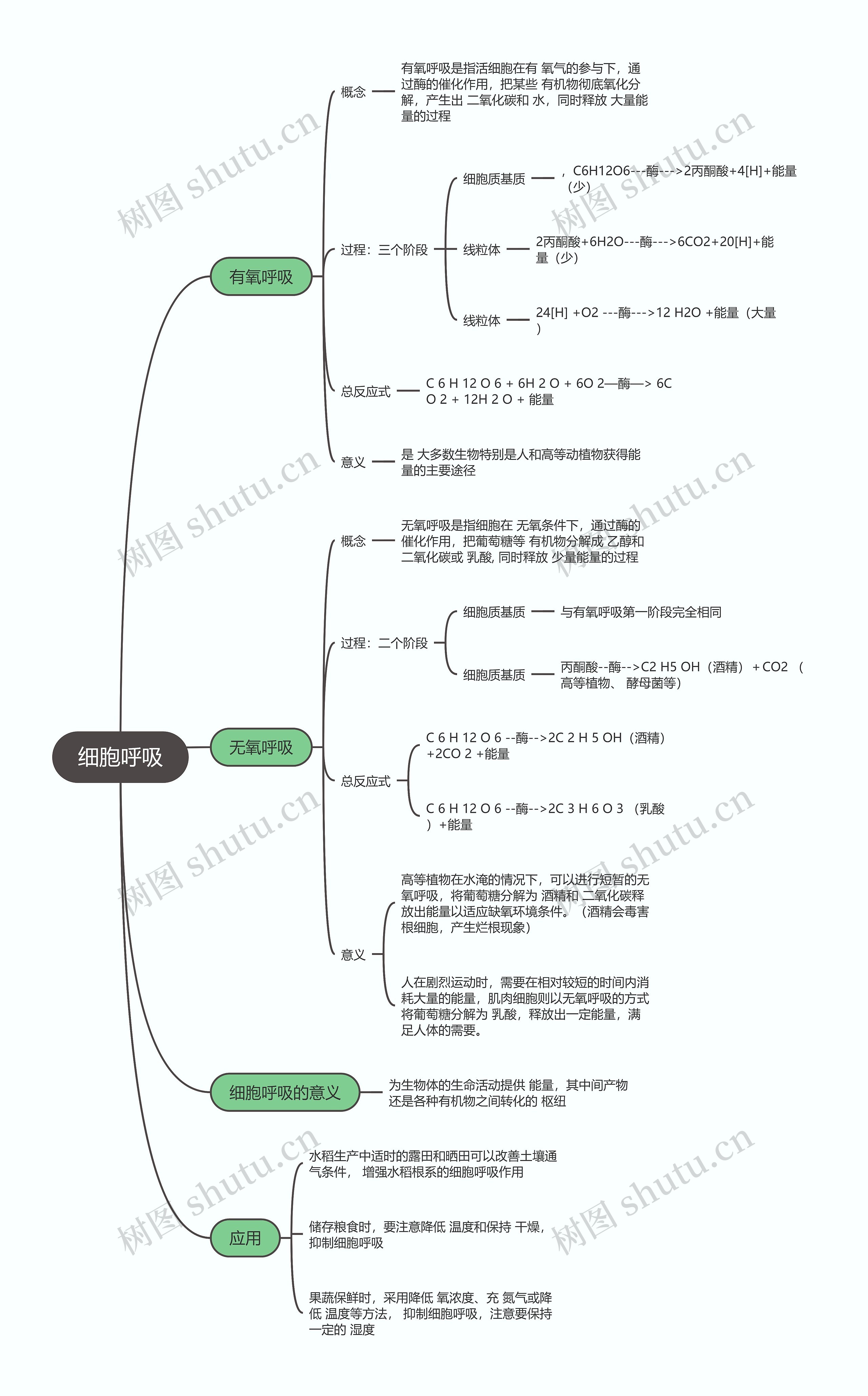 生物必修一   细胞呼吸思维导图