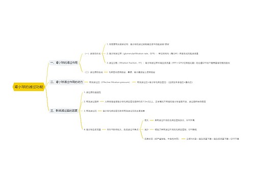 肾小球的滤过功能思维导图