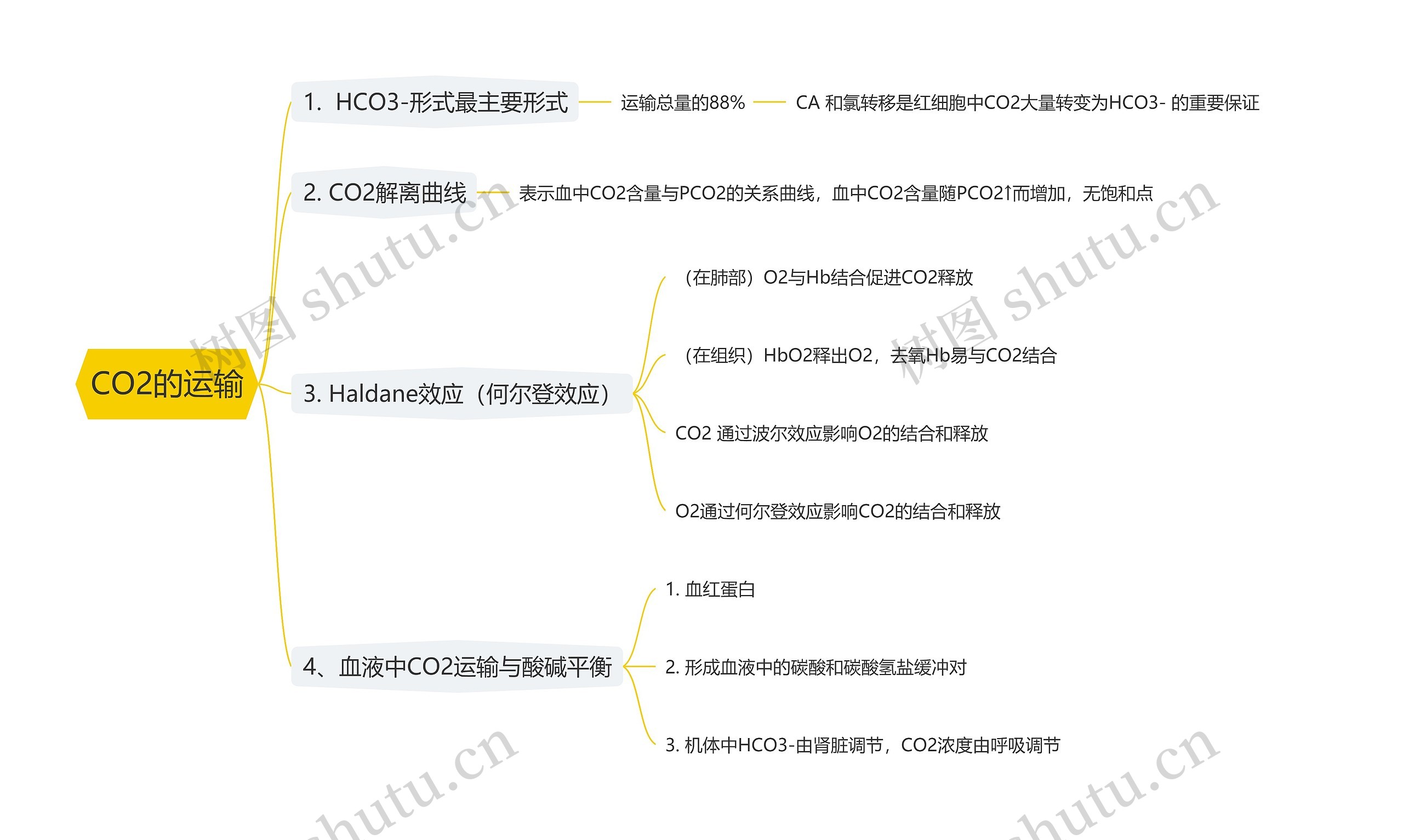 CO2的运输思维导图