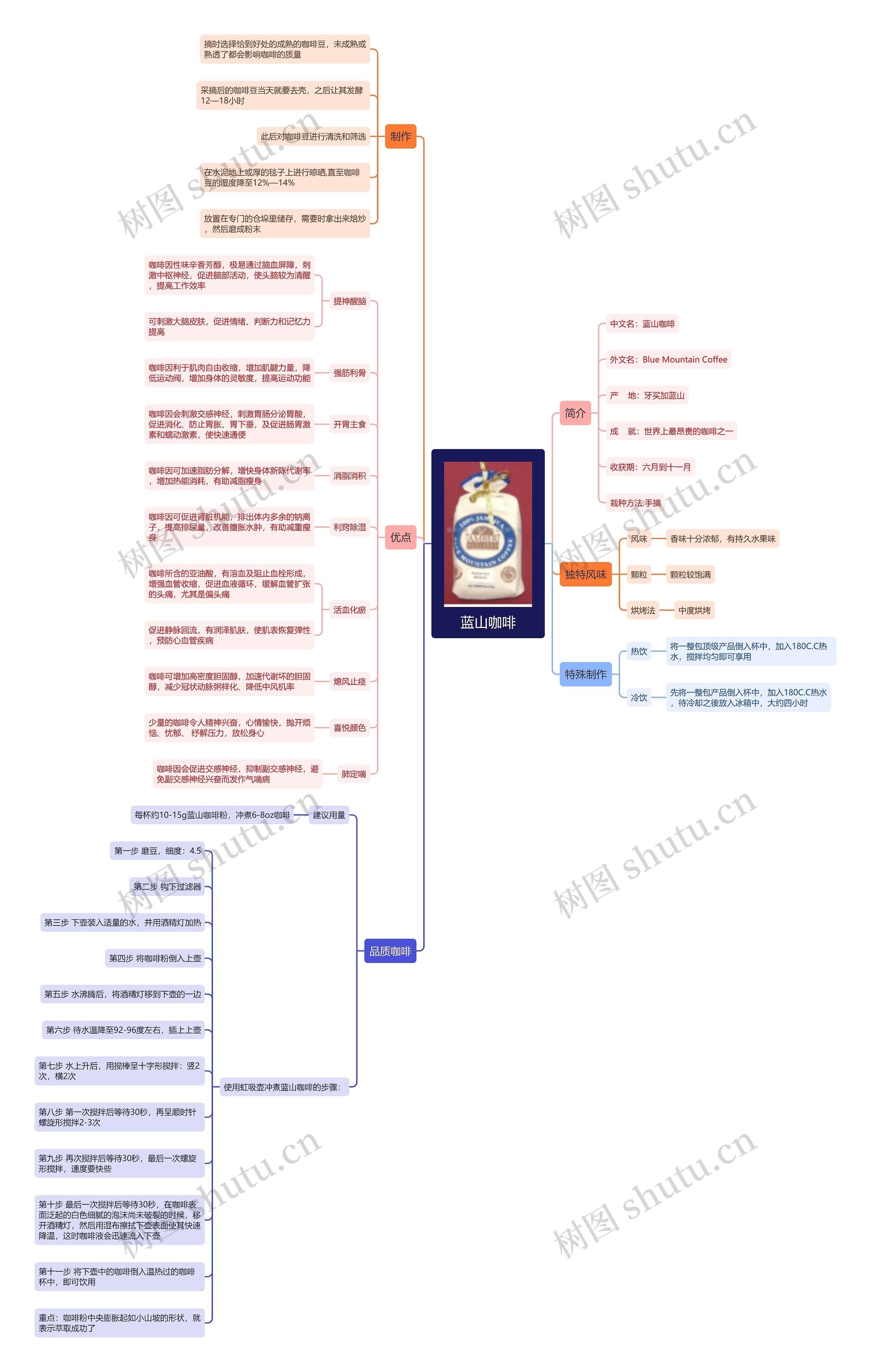 蓝山咖啡思维导图