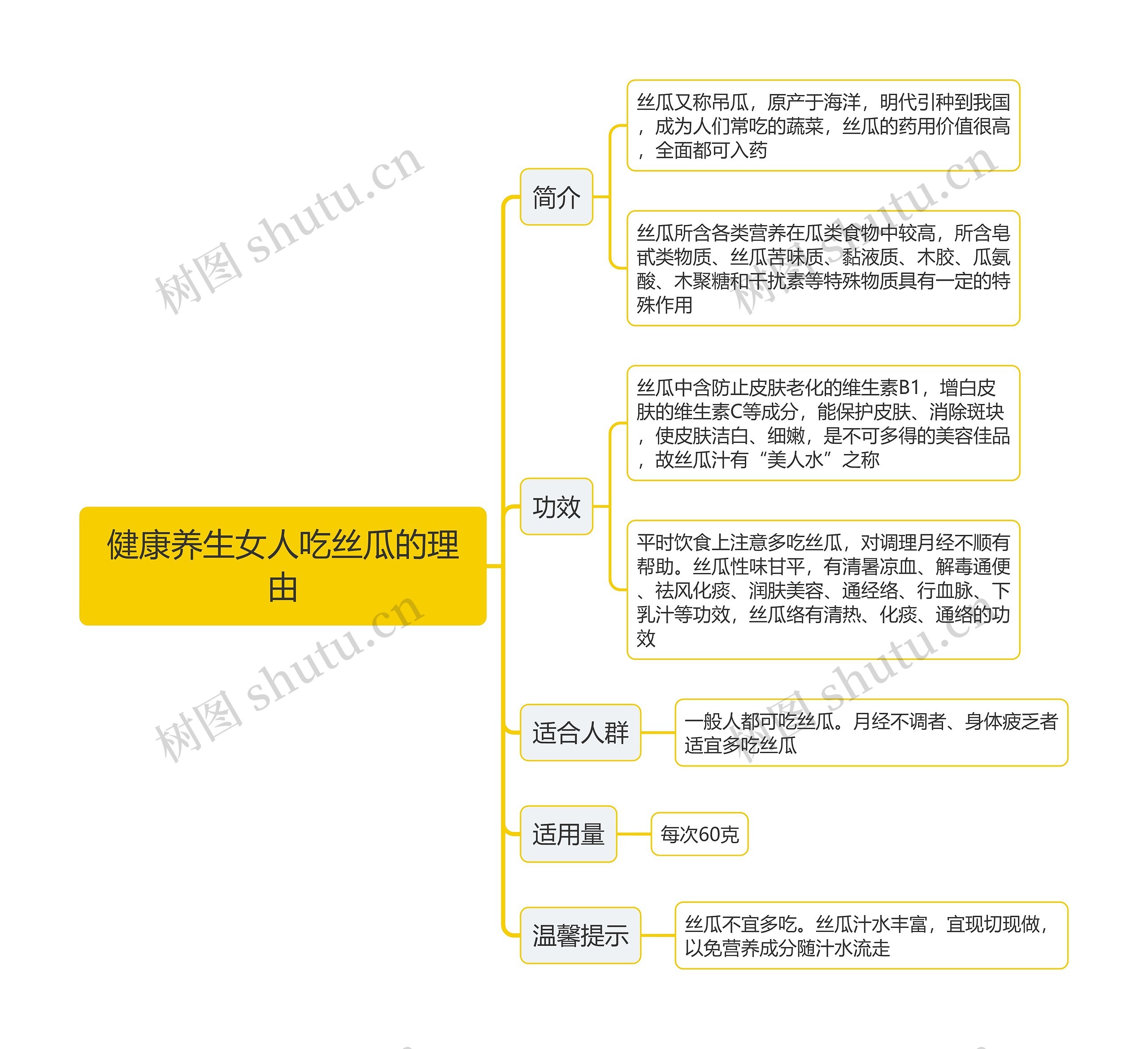 健康养生女人吃丝瓜的理由思维导图