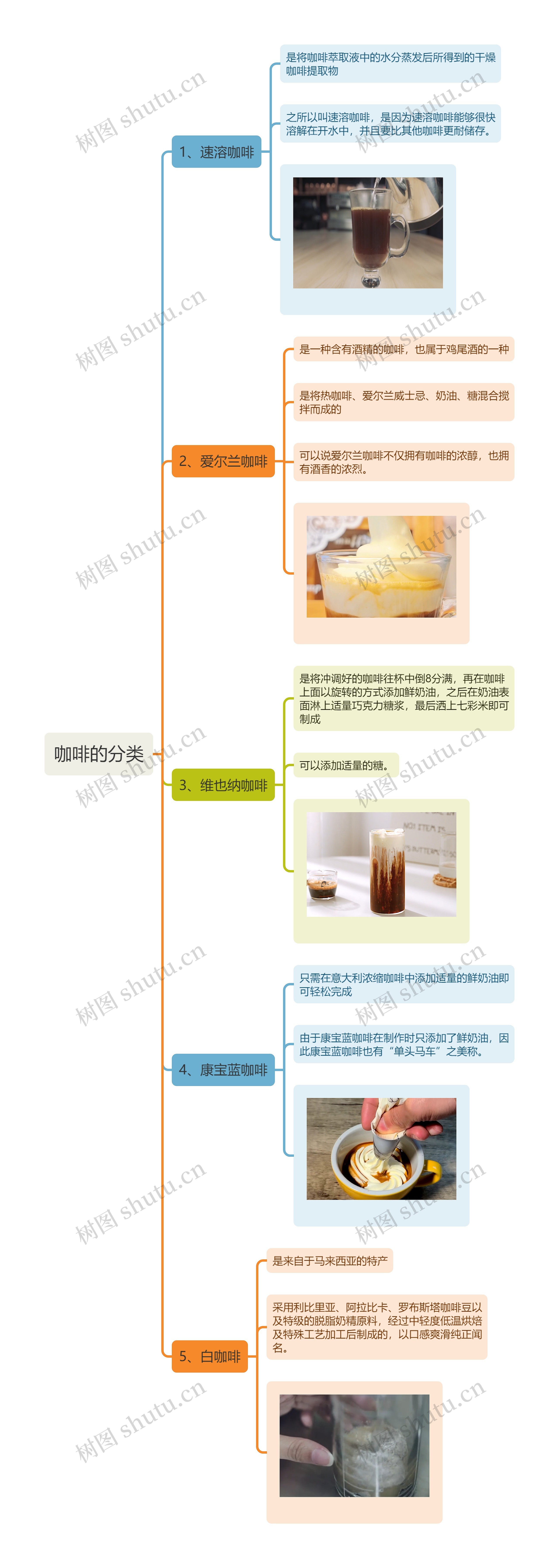 咖啡的分类思维导图