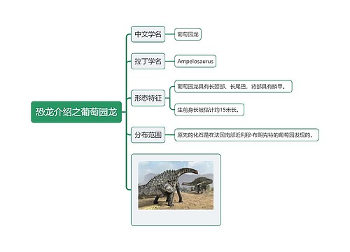 恐龙介绍之葡萄园龙思维导图