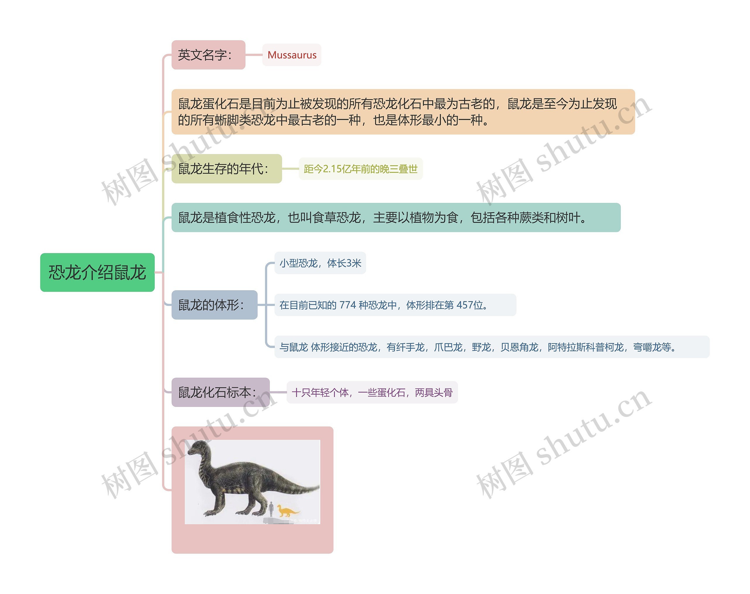 恐龙介绍鼠龙