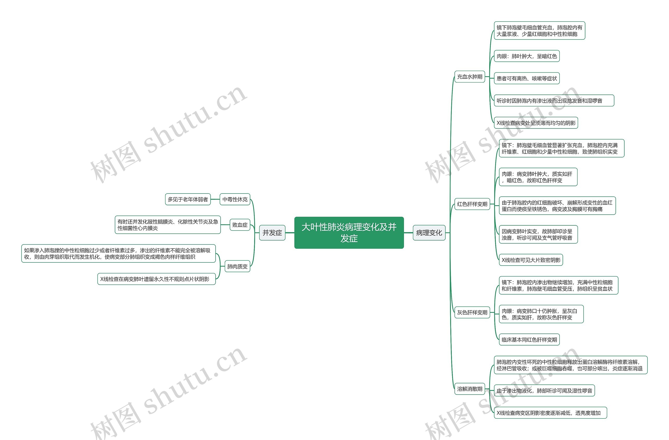 大叶性肺炎病理变化及并发症思维导图