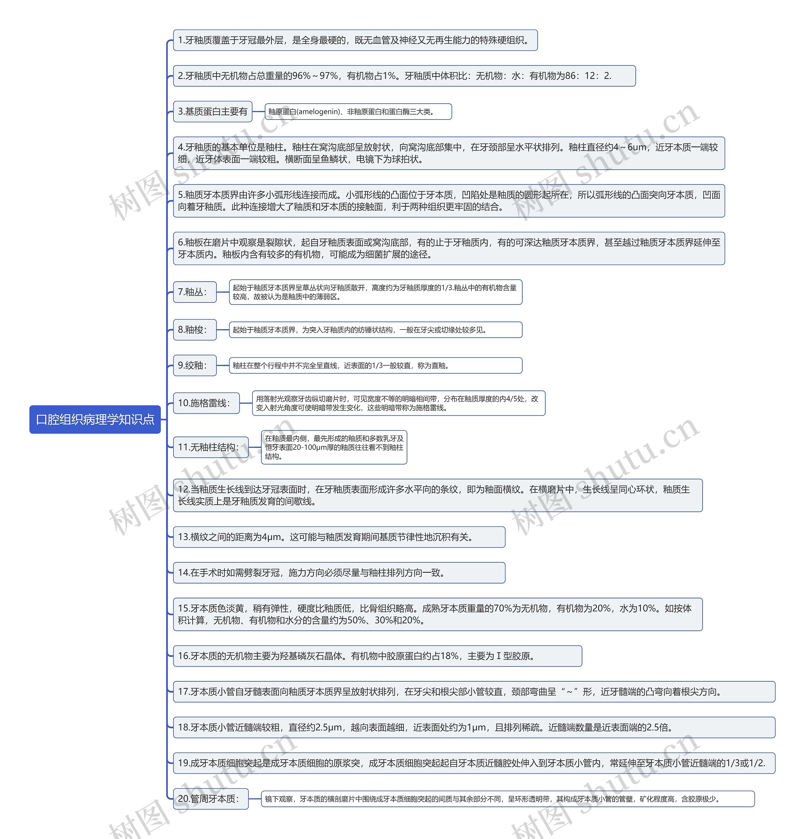 口腔组织病理学知识点思维导图
