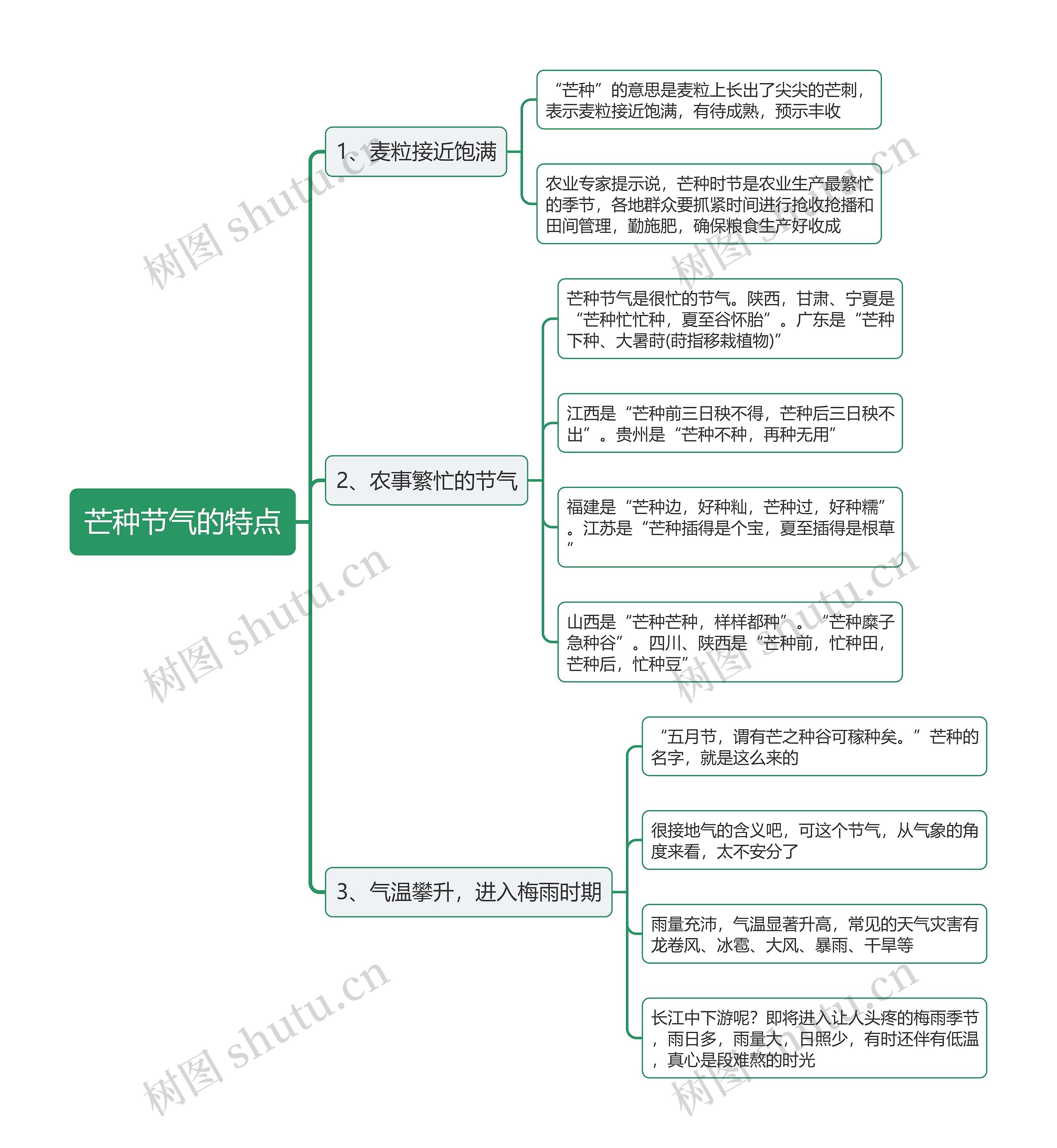 芒种节气的特点思维导图