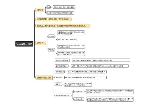认知过程之感觉知识点