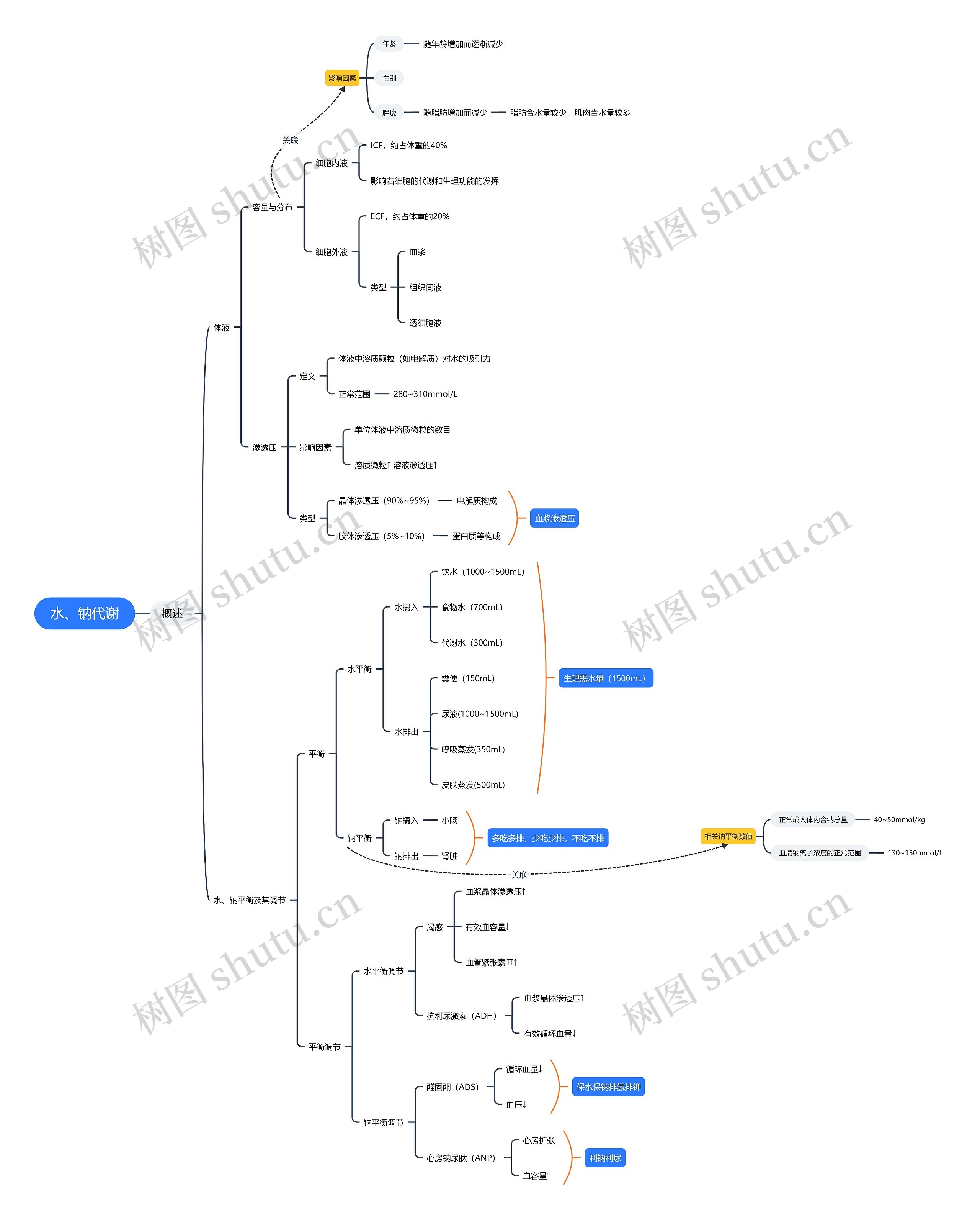 水钠代谢思维导图
