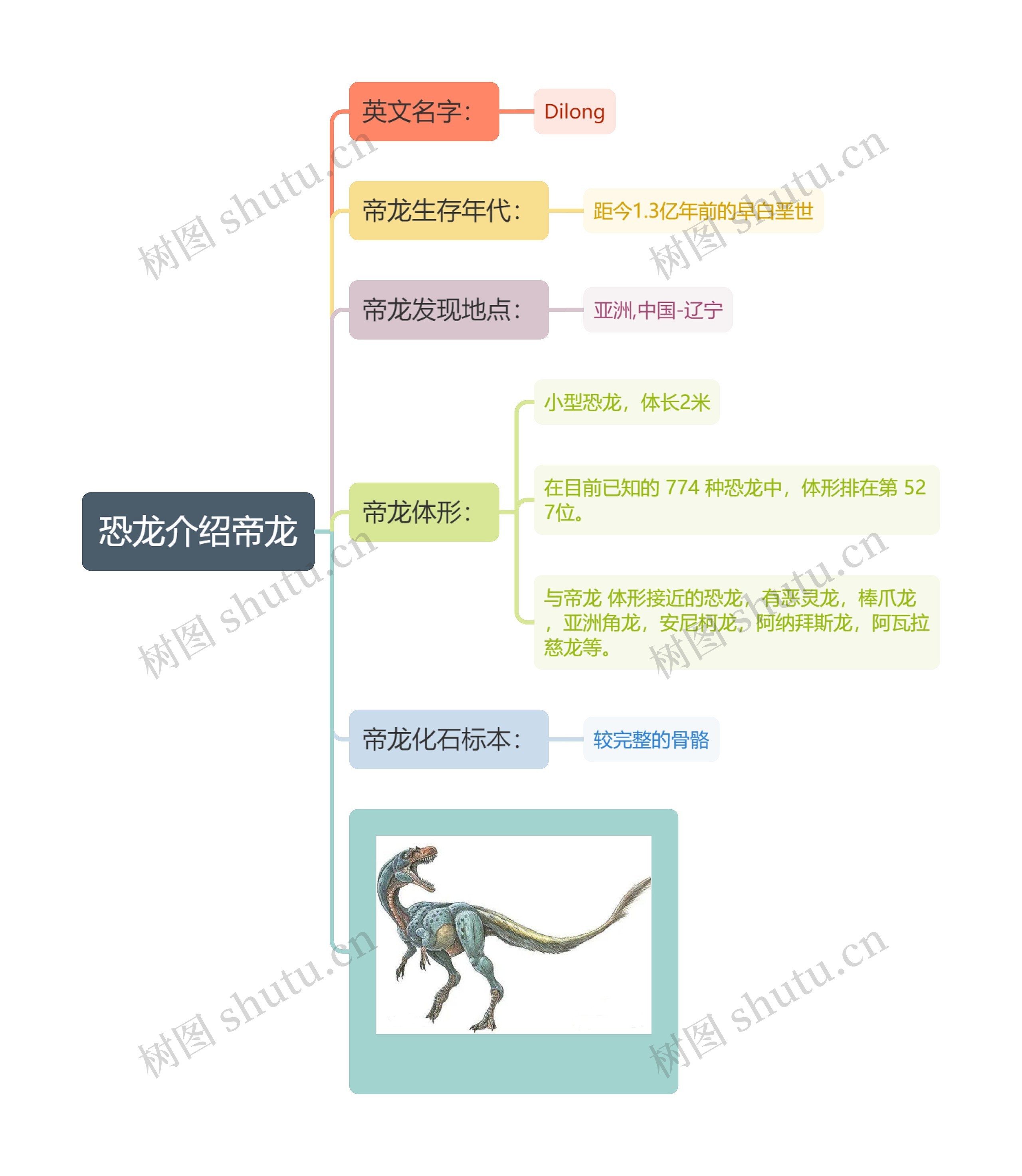 恐龙介绍帝龙思维导图