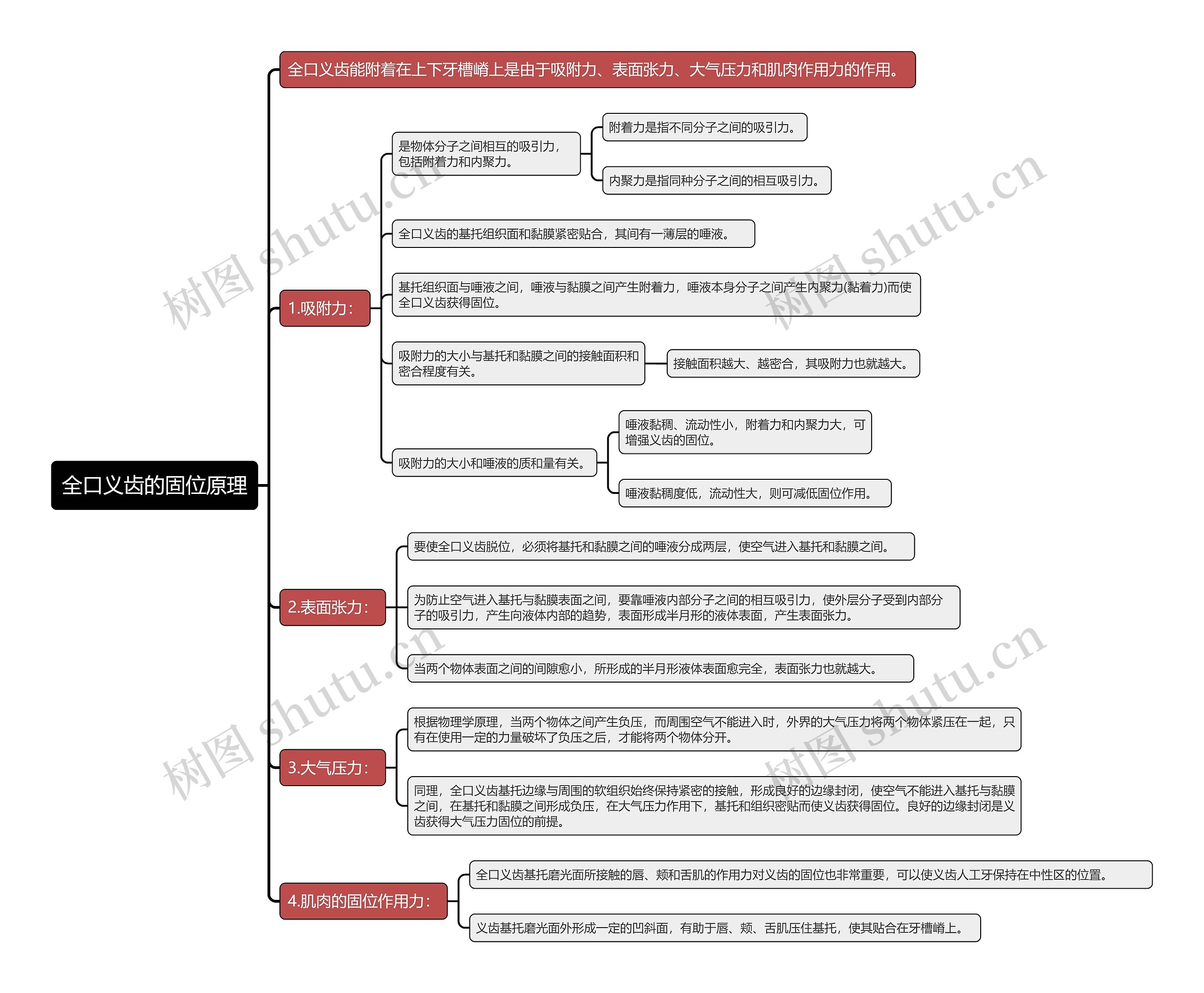 全口义齿的固位原理思维导图