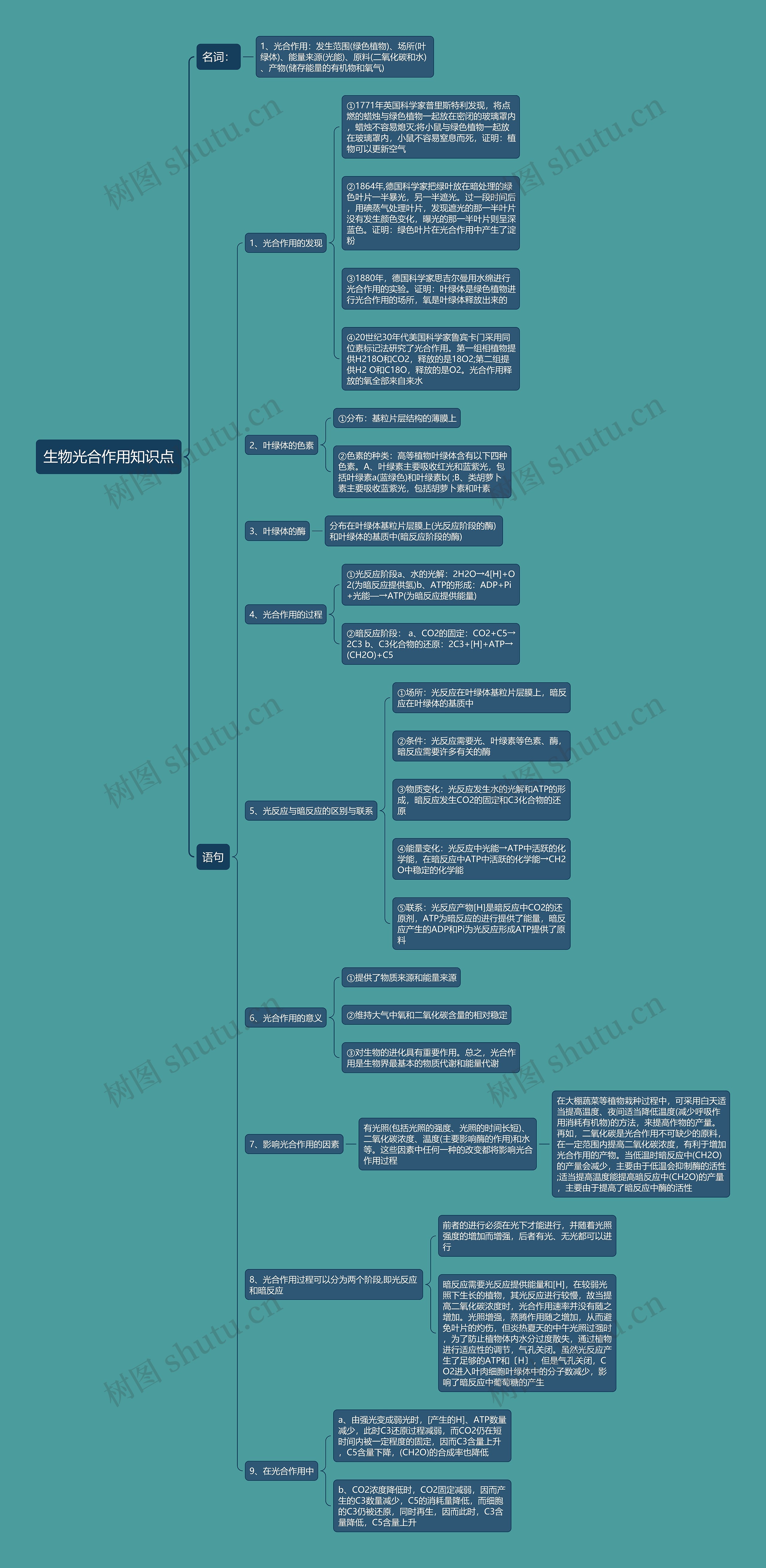 生物光合作用知识点思维导图