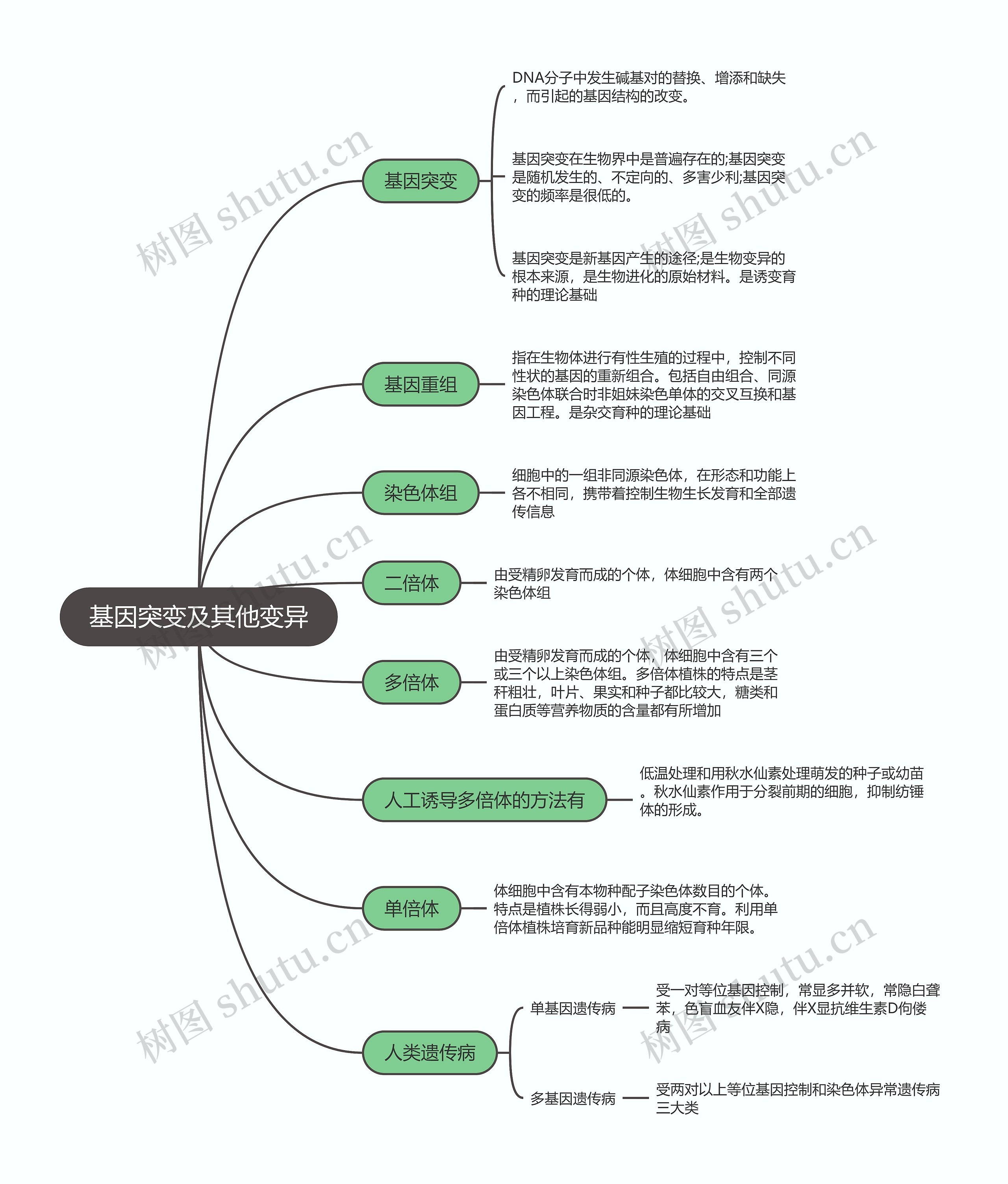 生物必修二   基因突变及其他变异