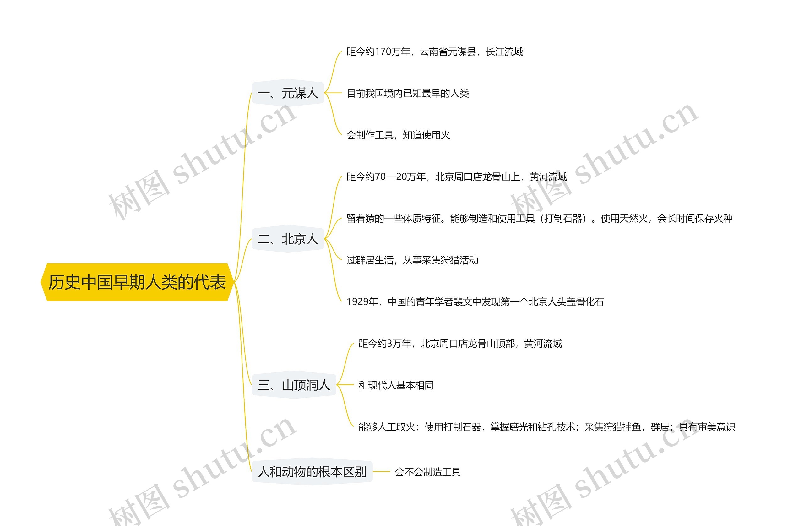 历史中国早期人类的代表思维导图
