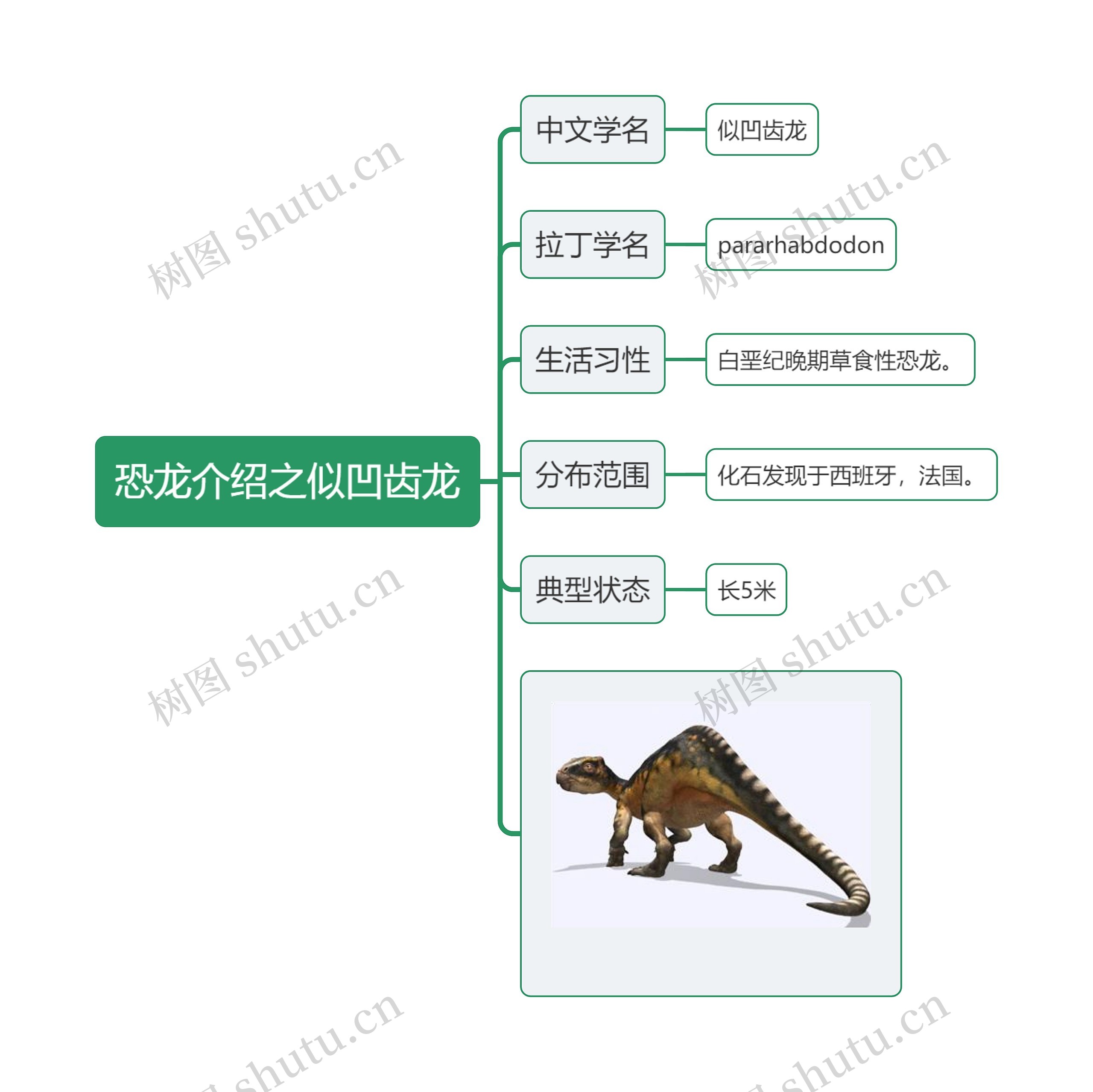 恐龙介绍之似凹齿龙思维导图